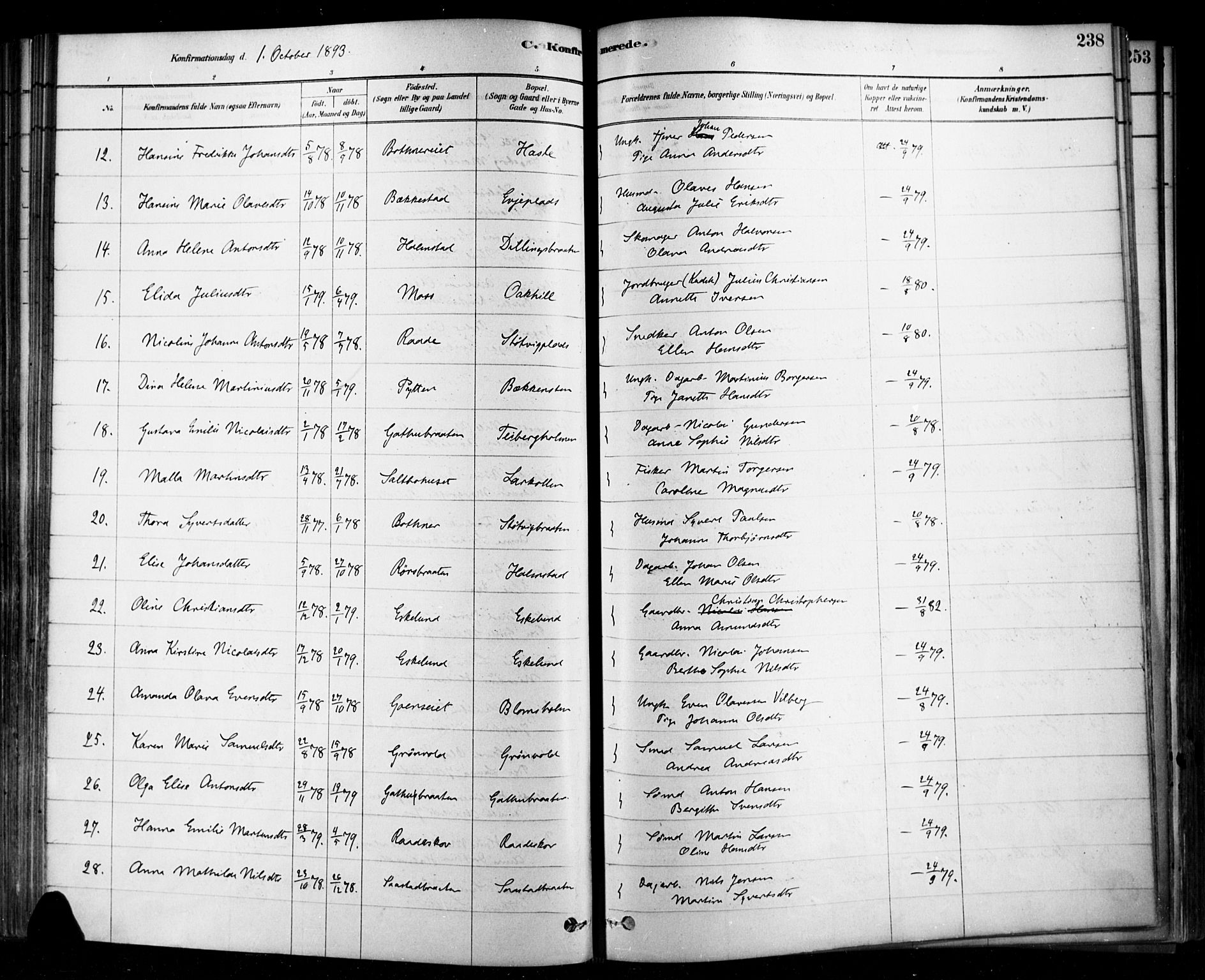 Rygge prestekontor Kirkebøker, AV/SAO-A-10084b/F/Fa/L0007: Ministerialbok nr. 7, 1878-1904, s. 238