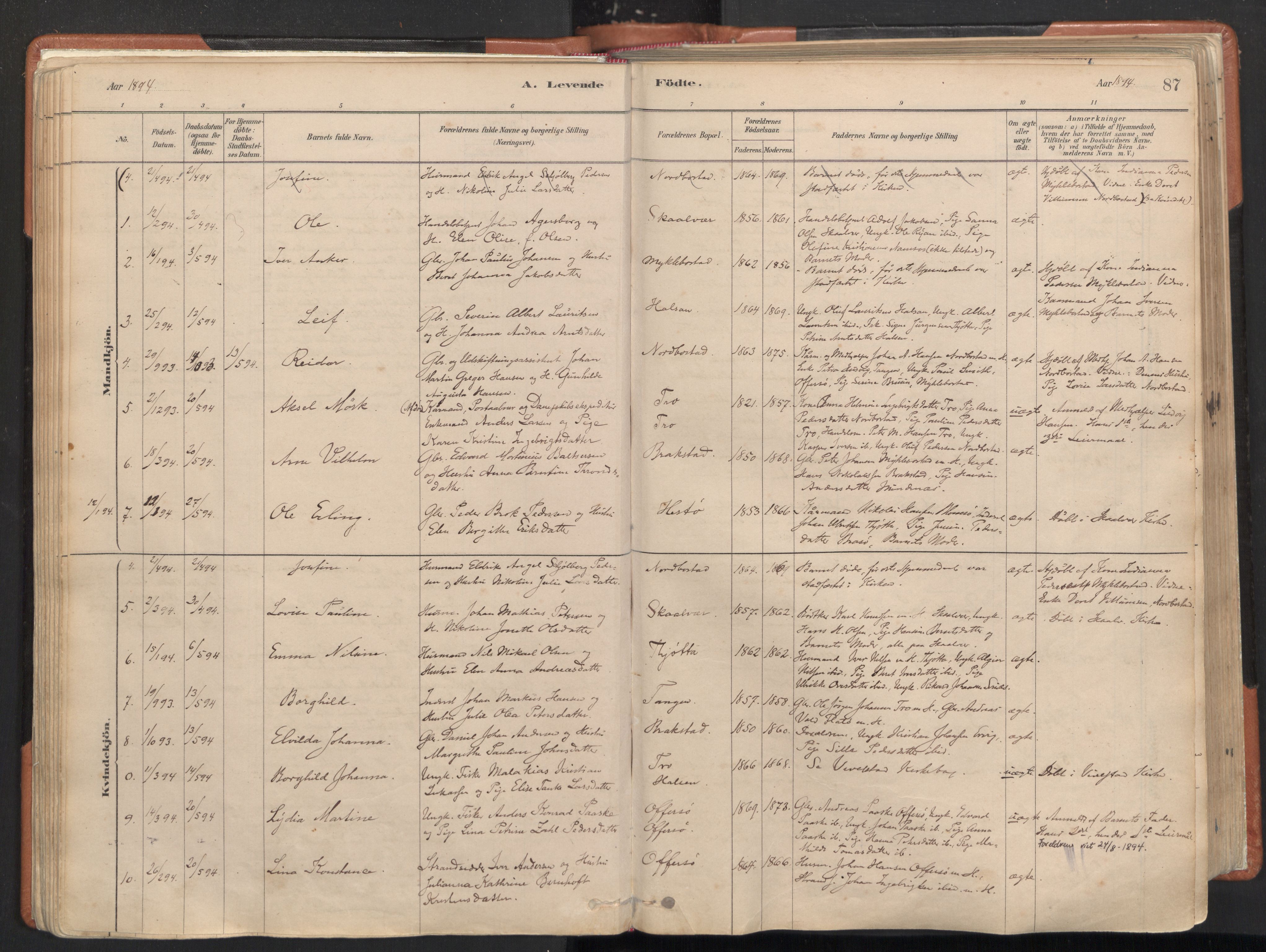 Ministerialprotokoller, klokkerbøker og fødselsregistre - Nordland, AV/SAT-A-1459/817/L0264: Ministerialbok nr. 817A04, 1878-1907, s. 87