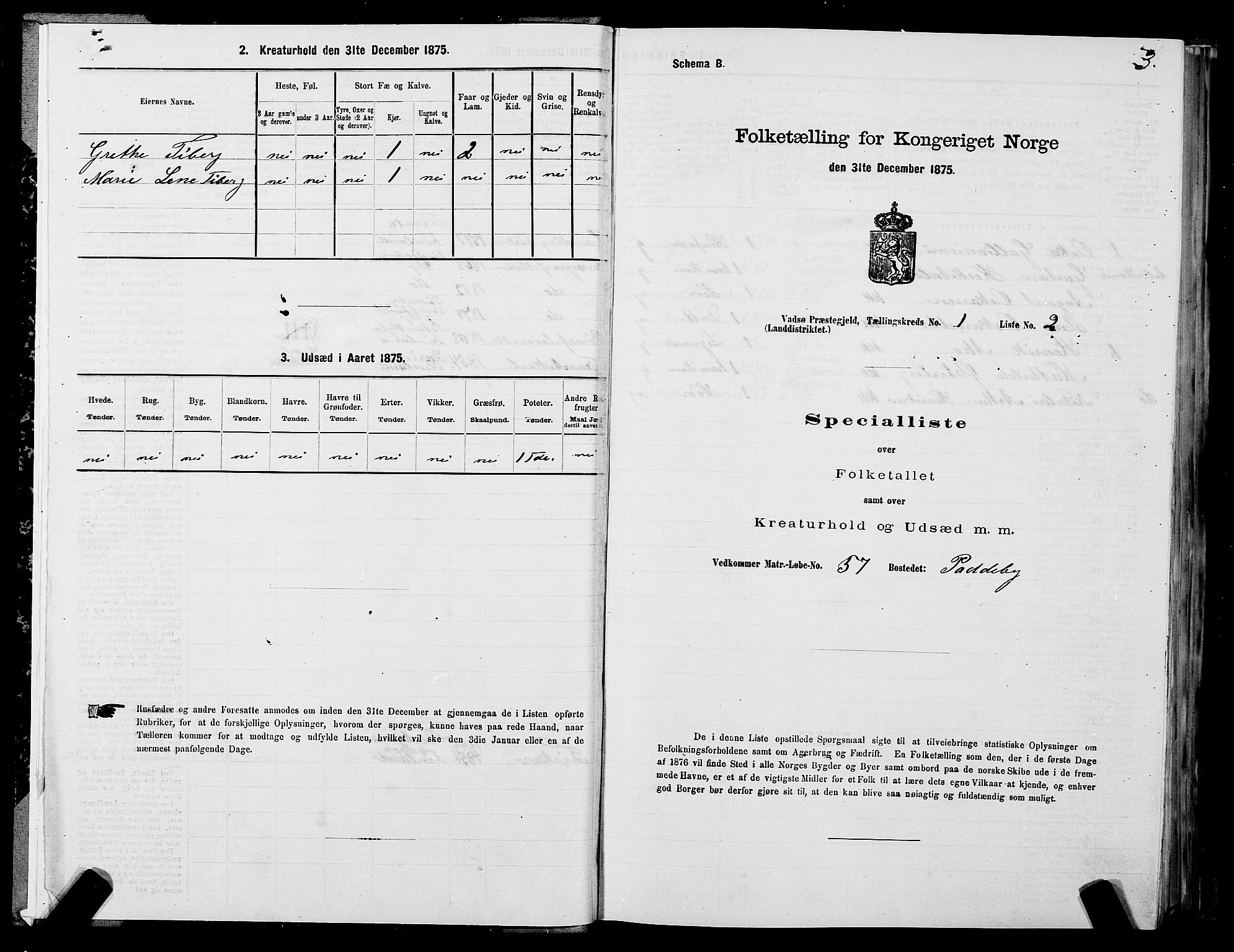 SATØ, Folketelling 1875 for 2029L Vadsø prestegjeld, Vadsø landsokn, 1875, s. 1003