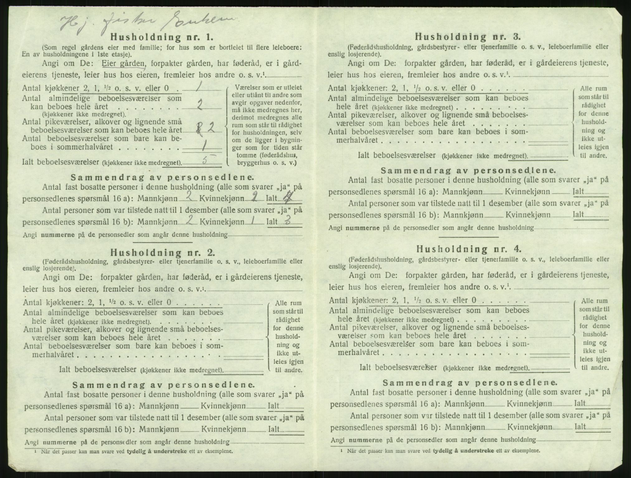 SAT, Folketelling 1920 for 1862 Borge herred, 1920, s. 924