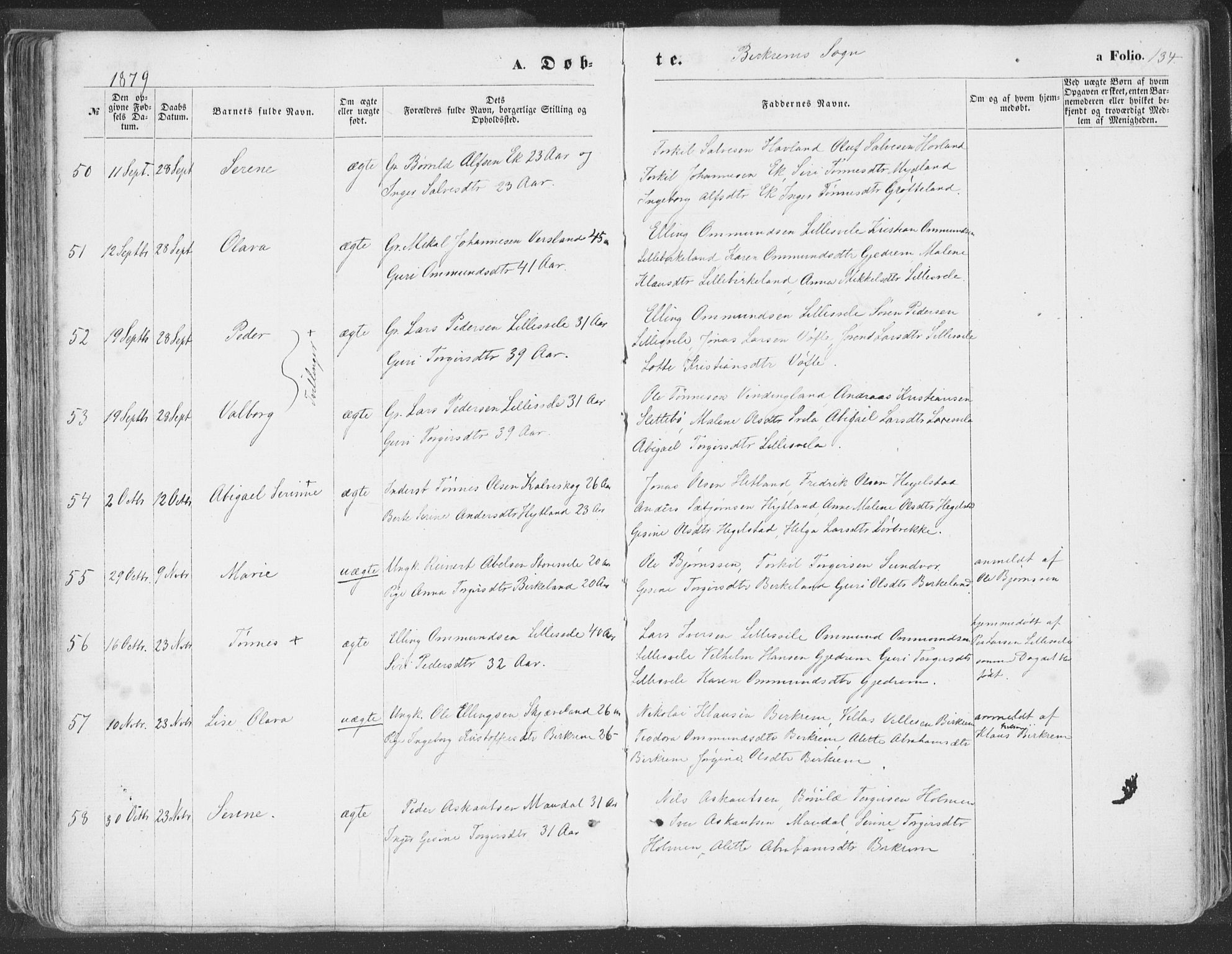 Helleland sokneprestkontor, SAST/A-101810: Ministerialbok nr. A 7.1, 1863-1886, s. 134