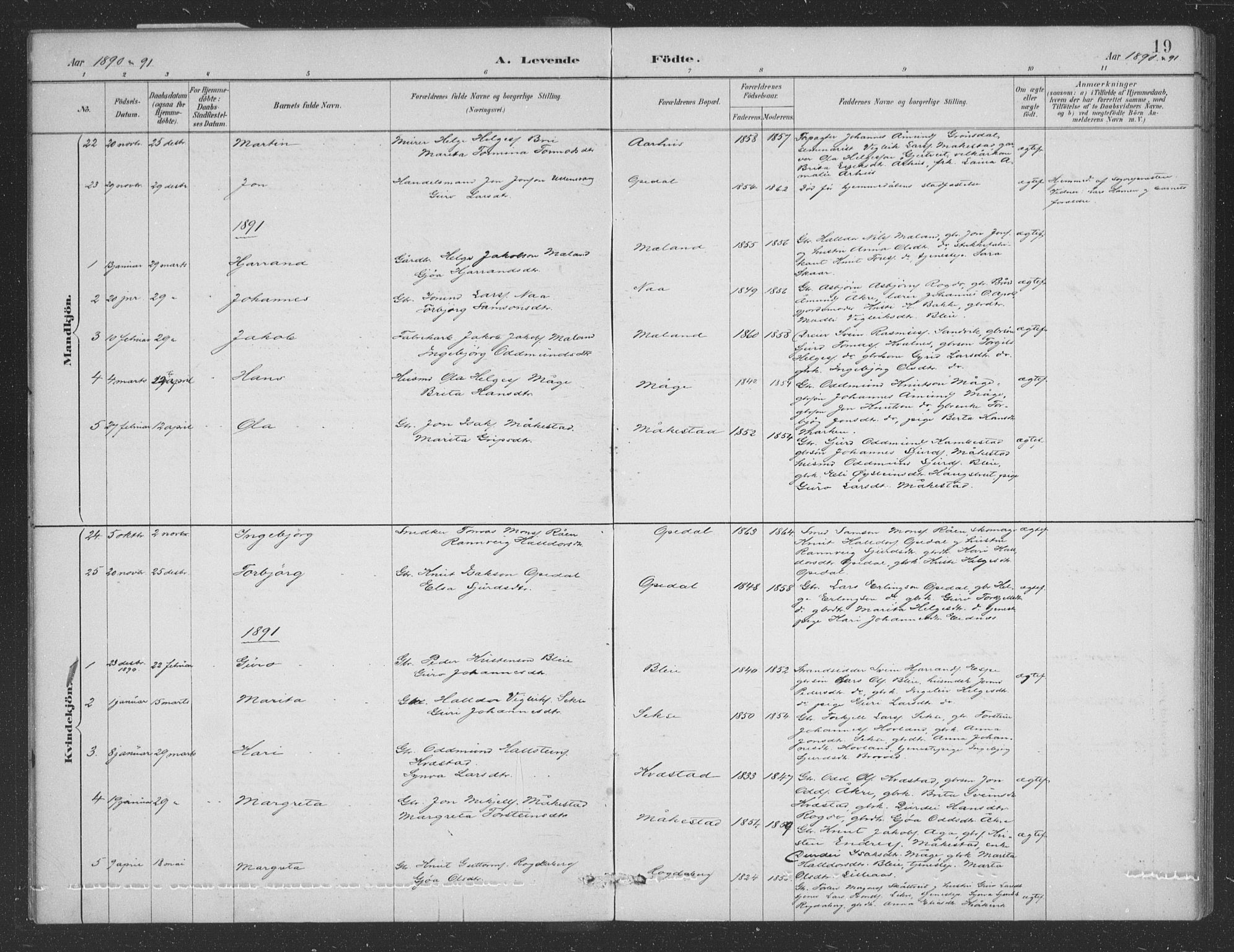 Ullensvang sokneprestembete, SAB/A-78701/H/Hab: Klokkerbok nr. B 11, 1887-1939, s. 19
