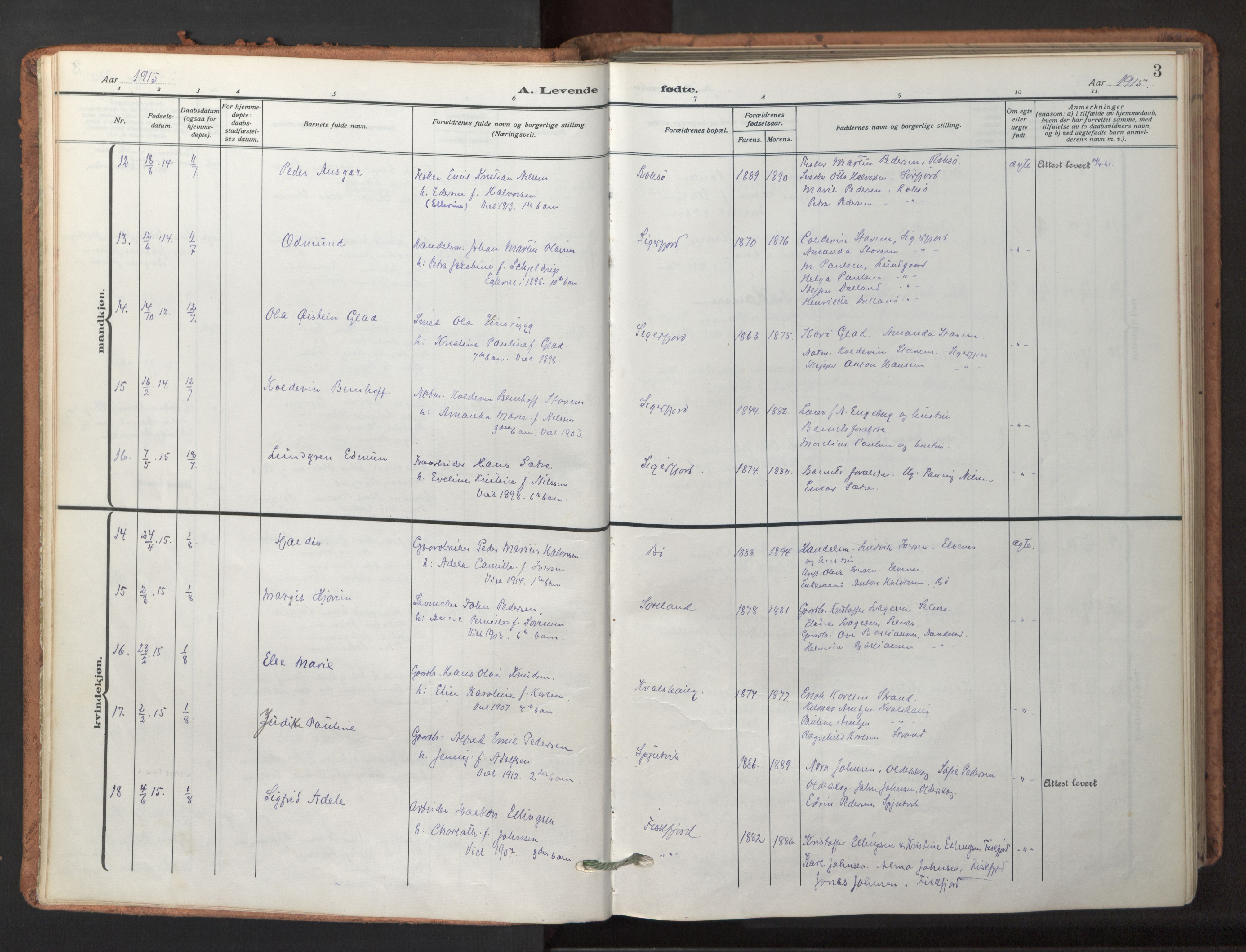 Ministerialprotokoller, klokkerbøker og fødselsregistre - Nordland, AV/SAT-A-1459/895/L1374: Ministerialbok nr. 895A09, 1915-1925, s. 3