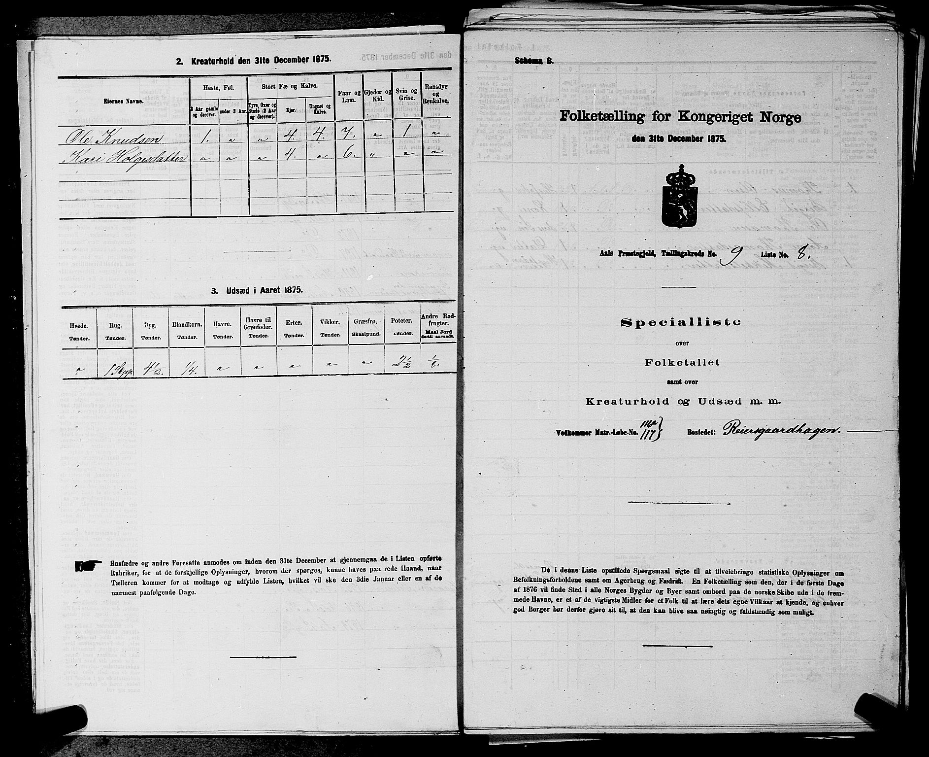 SAKO, Folketelling 1875 for 0619P Ål prestegjeld, 1875, s. 1107
