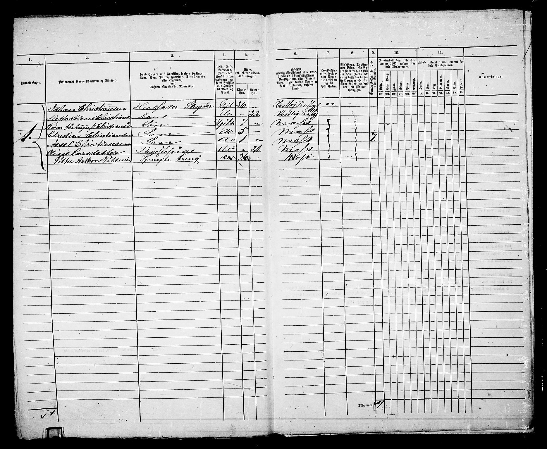 RA, Folketelling 1865 for 0104B Moss prestegjeld, Moss kjøpstad, 1865, s. 349