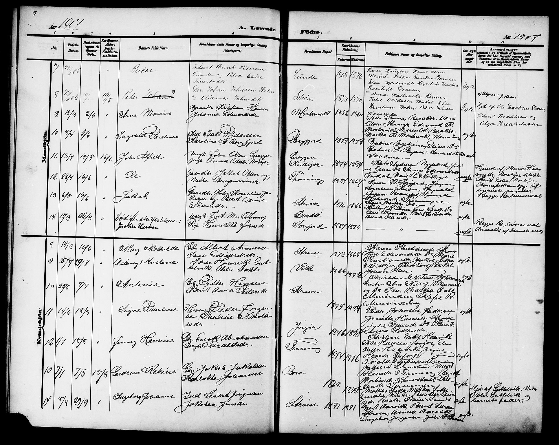 Ministerialprotokoller, klokkerbøker og fødselsregistre - Sør-Trøndelag, AV/SAT-A-1456/657/L0717: Klokkerbok nr. 657C04, 1904-1923, s. 9