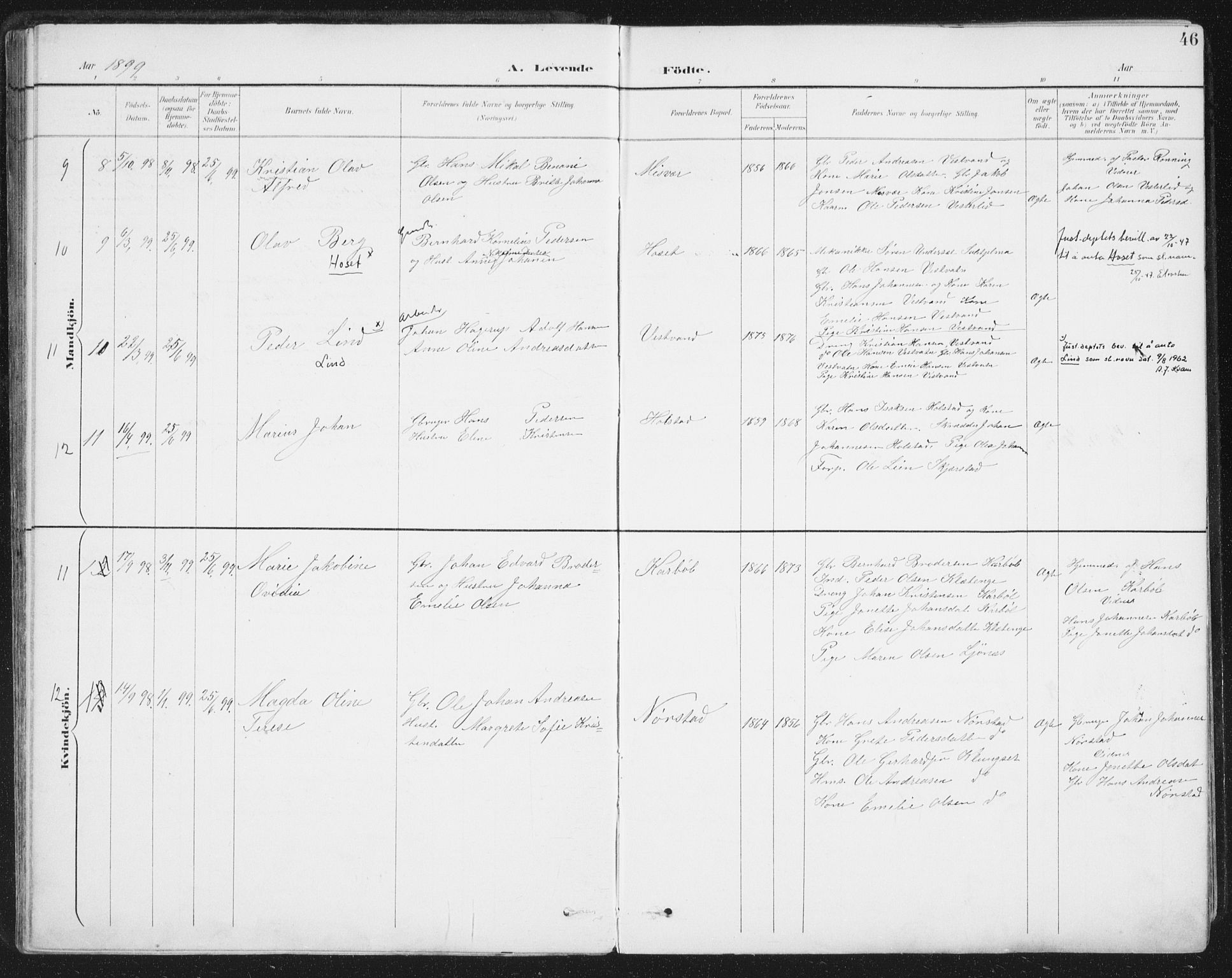 Ministerialprotokoller, klokkerbøker og fødselsregistre - Nordland, AV/SAT-A-1459/852/L0741: Ministerialbok nr. 852A11, 1894-1917, s. 46