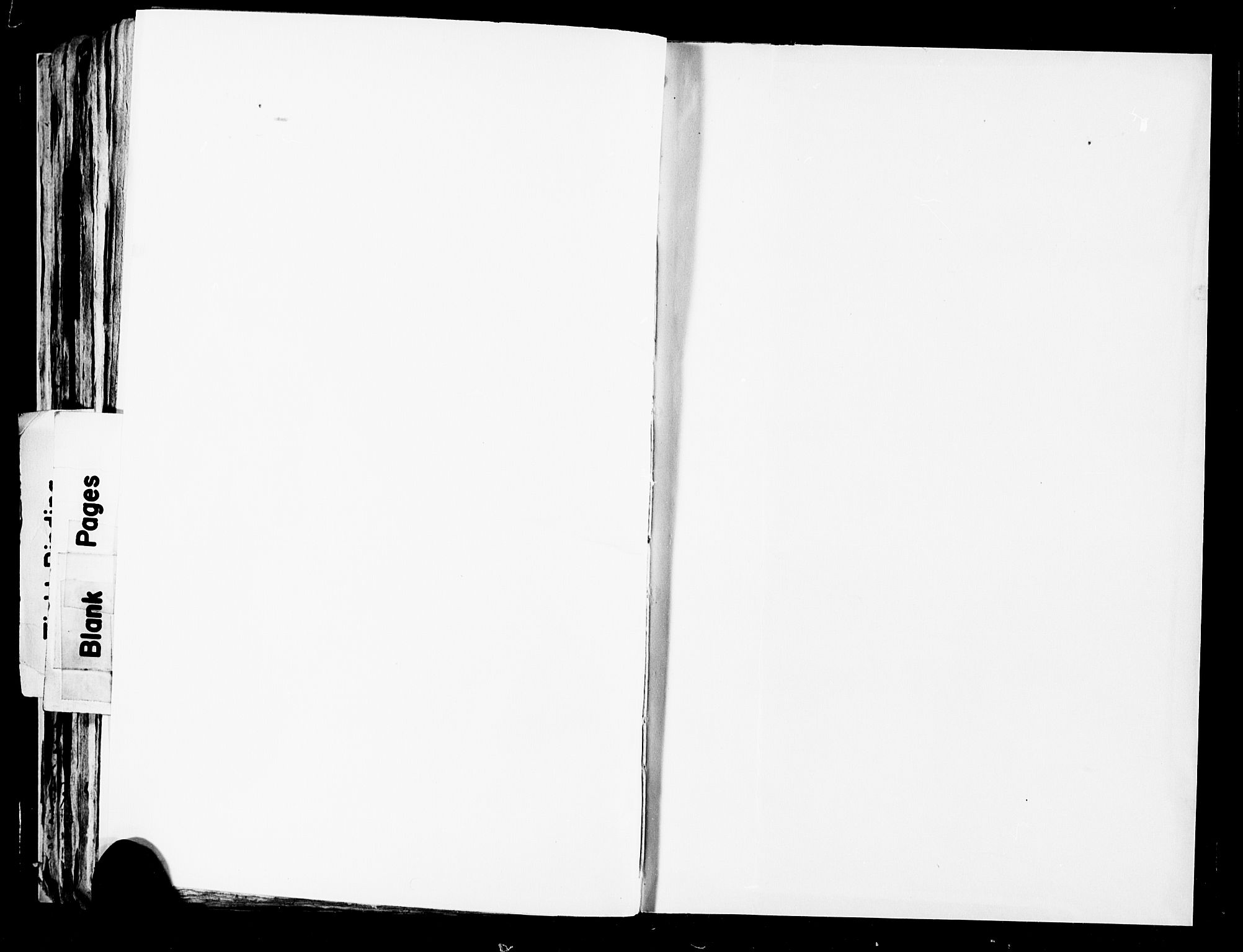 SAB, Folketelling 1815 for 1301 Bergen kjøpstad, 1815, s. 653