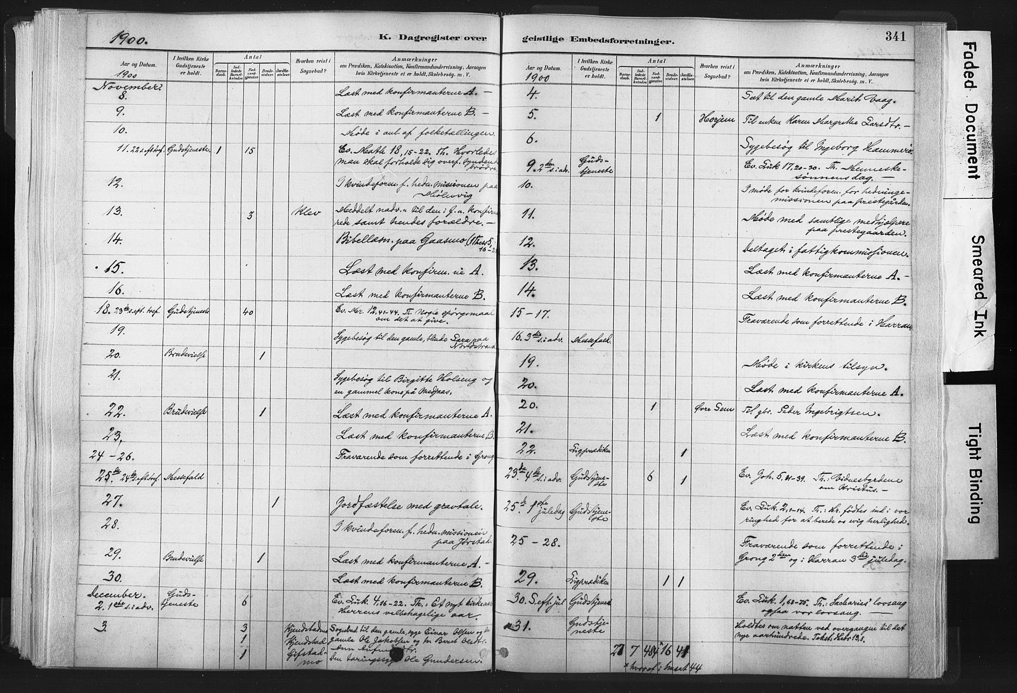 Ministerialprotokoller, klokkerbøker og fødselsregistre - Nord-Trøndelag, AV/SAT-A-1458/749/L0474: Ministerialbok nr. 749A08, 1887-1903, s. 341