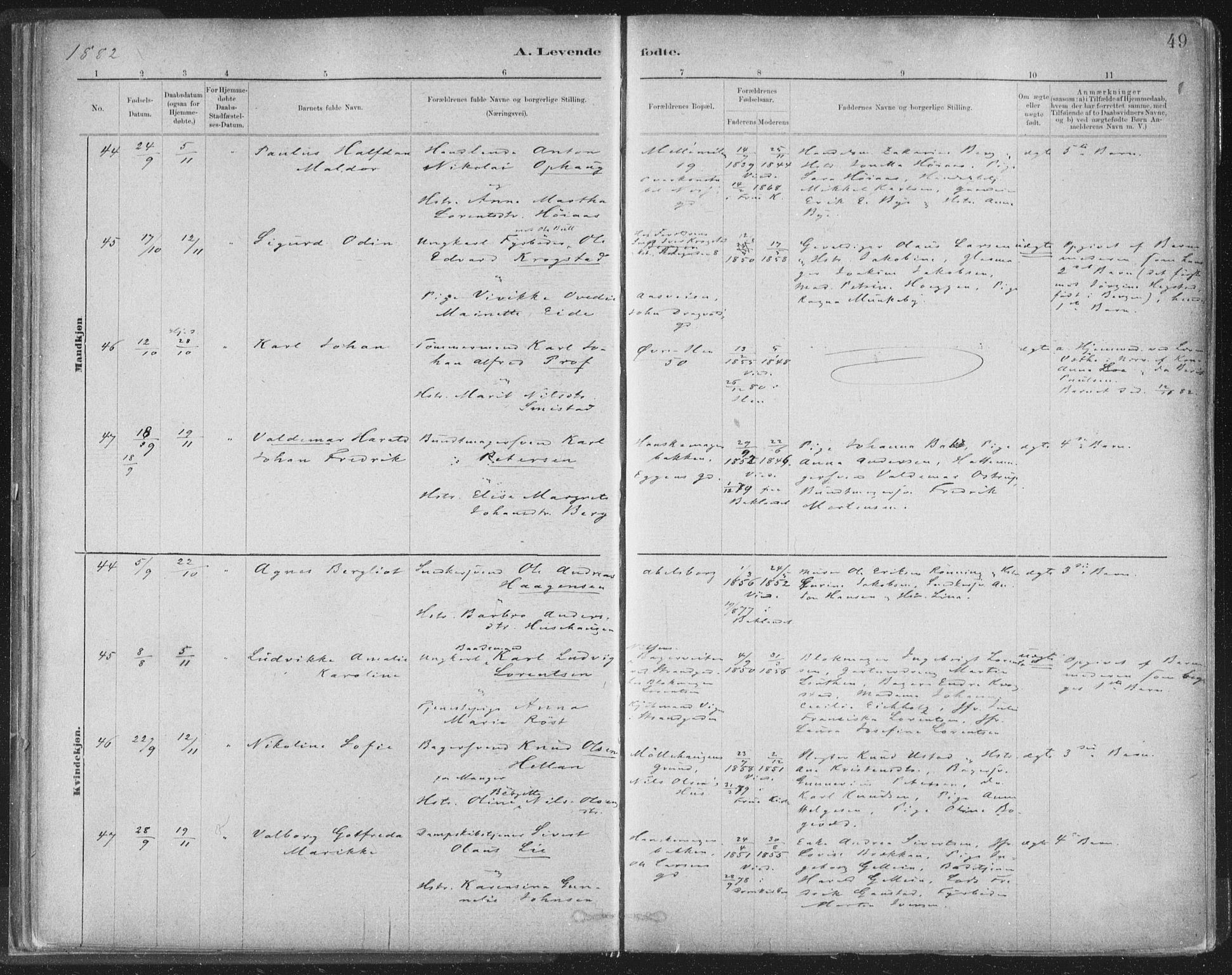 Ministerialprotokoller, klokkerbøker og fødselsregistre - Sør-Trøndelag, SAT/A-1456/603/L0162: Ministerialbok nr. 603A01, 1879-1895, s. 49