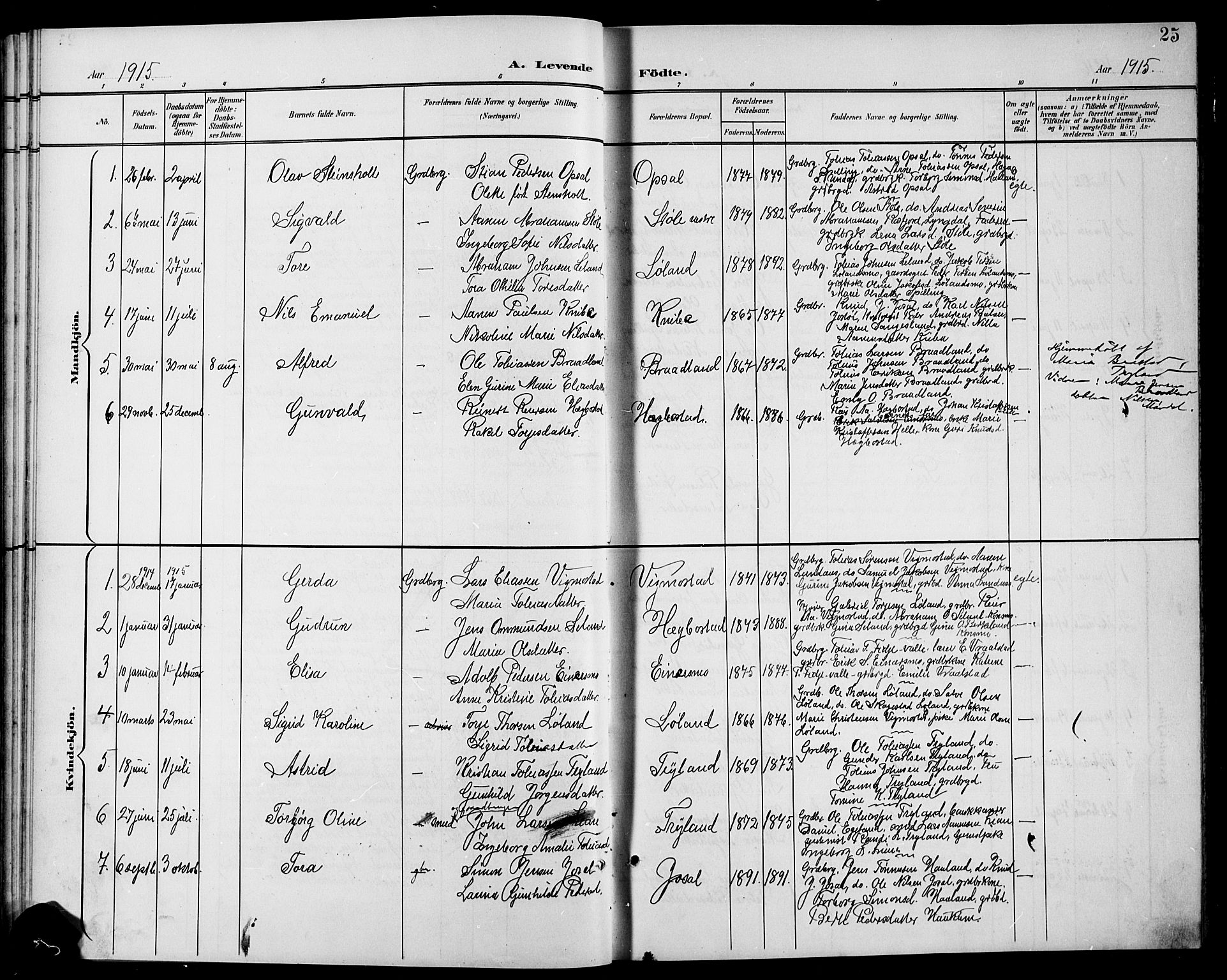 Nord-Audnedal sokneprestkontor, AV/SAK-1111-0032/F/Fb/Fbb/L0004: Klokkerbok nr. B 4, 1901-1917, s. 25