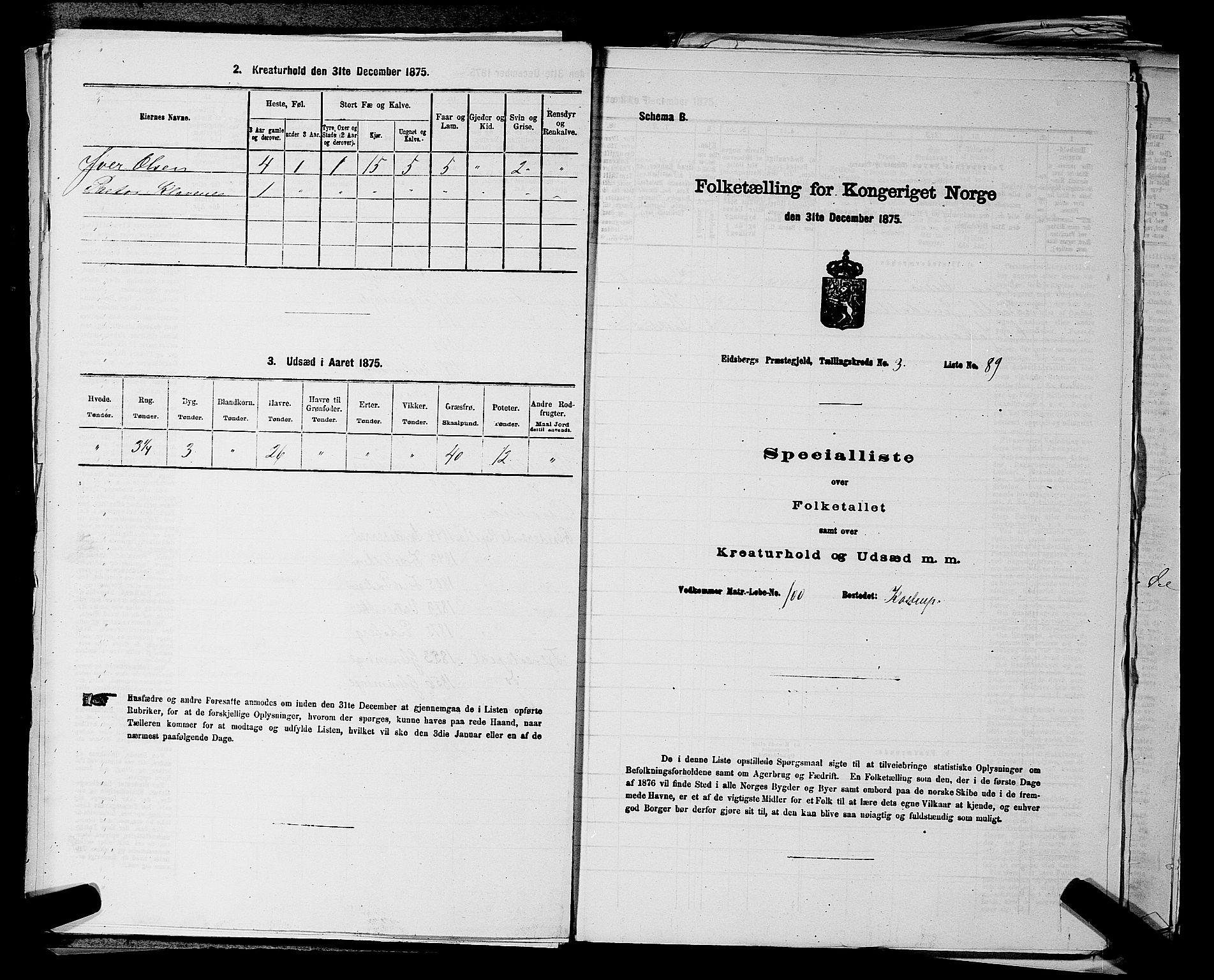 RA, Folketelling 1875 for 0125P Eidsberg prestegjeld, 1875, s. 609