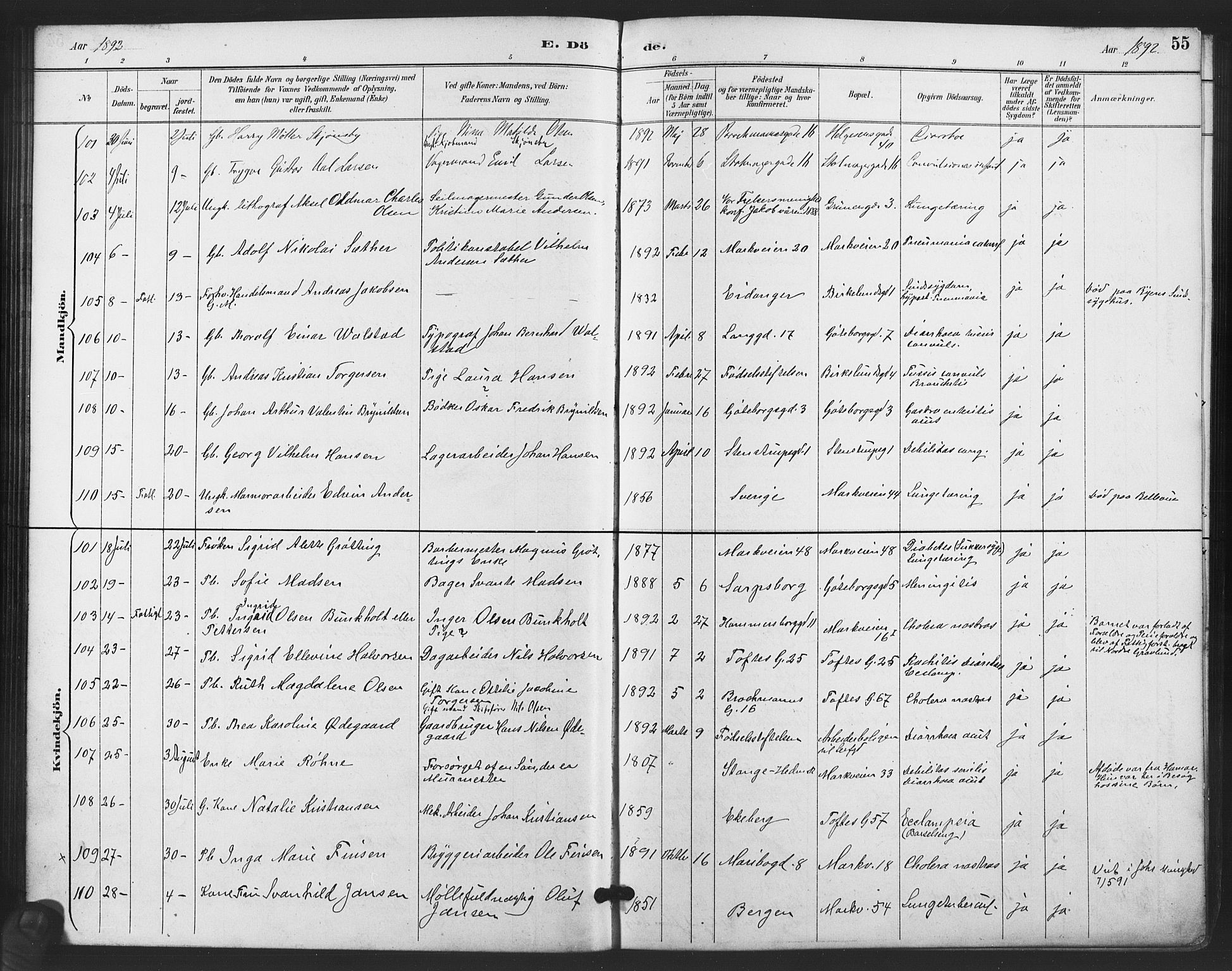 Paulus prestekontor Kirkebøker, AV/SAO-A-10871/F/Fa/L0011: Ministerialbok nr. 11, 1889-1897, s. 55