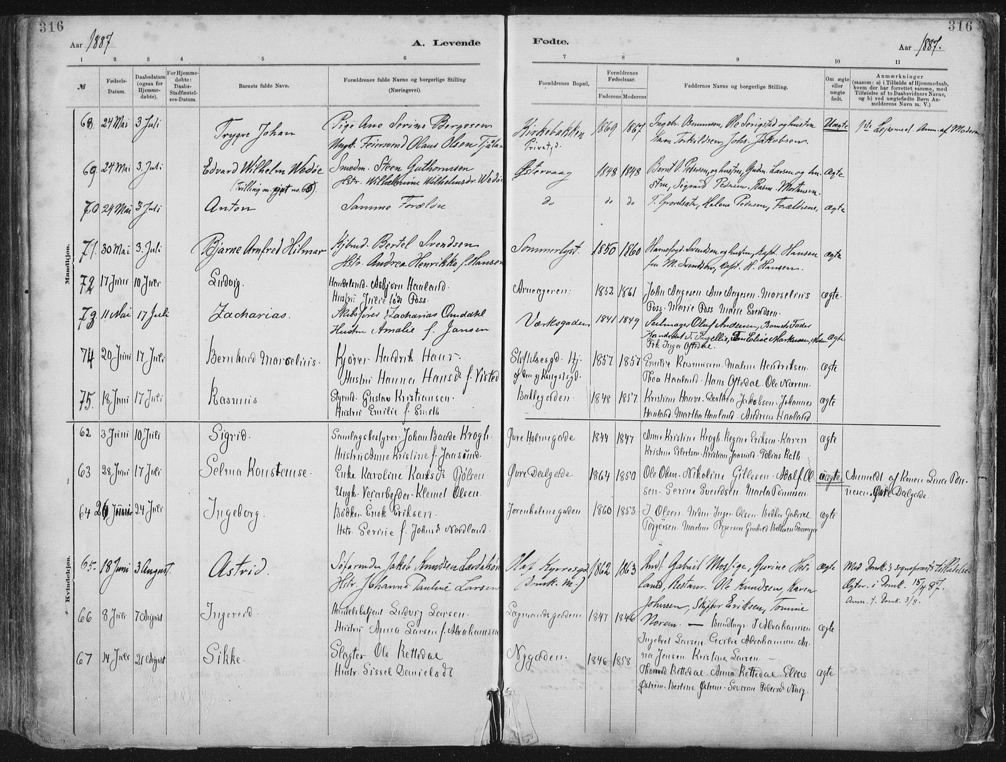 St. Petri sokneprestkontor, AV/SAST-A-101813/001/30/30BA/L0015: Ministerialbok nr. A 15, 1879-1888, s. 316