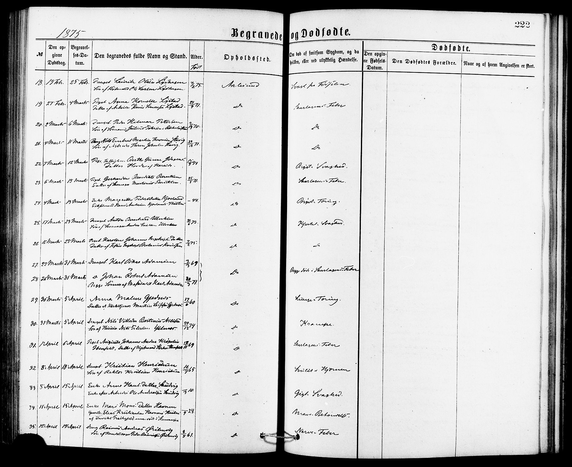 Ministerialprotokoller, klokkerbøker og fødselsregistre - Møre og Romsdal, SAT/A-1454/529/L0453: Ministerialbok nr. 529A03, 1872-1877, s. 222