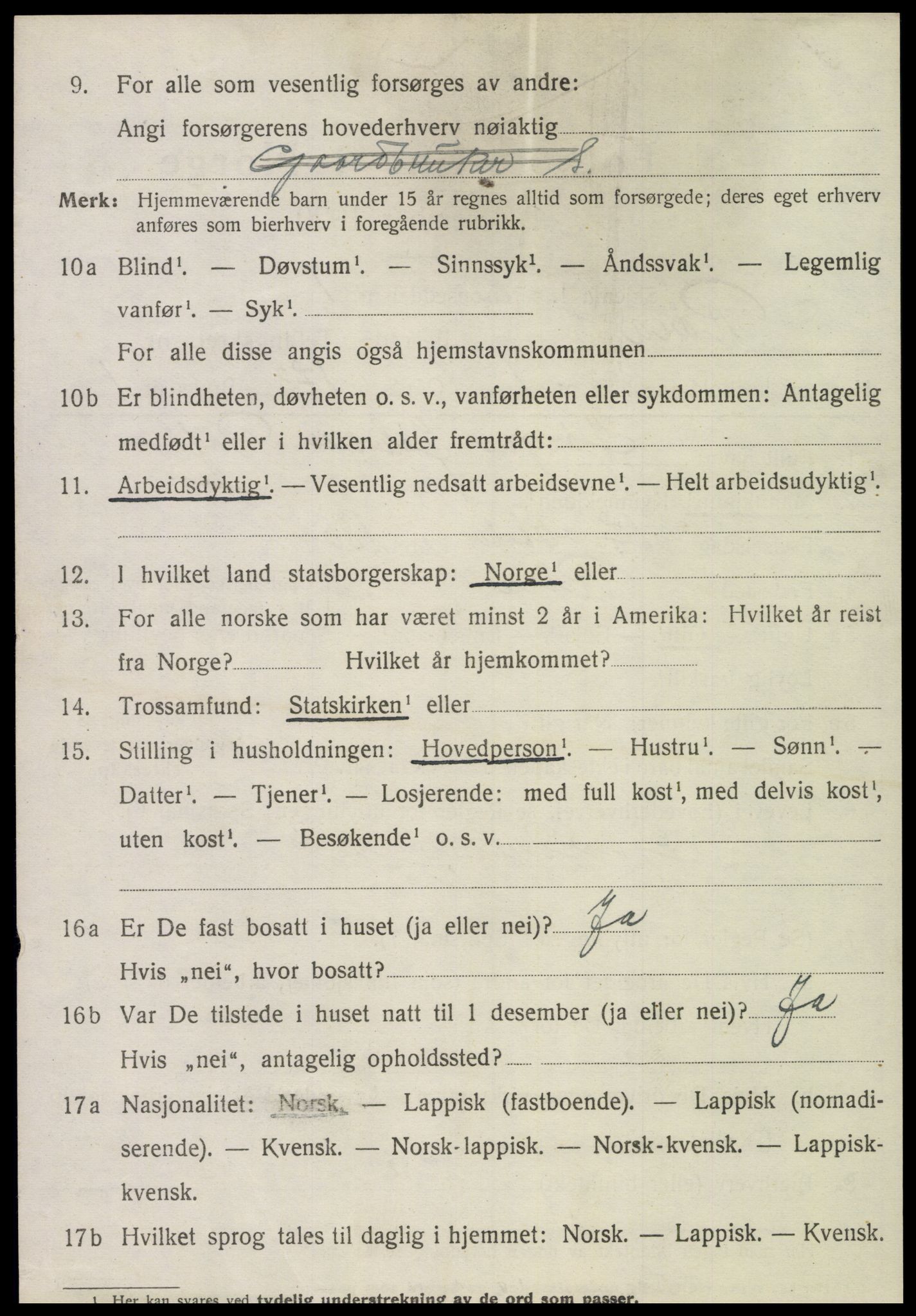 SAT, Folketelling 1920 for 1730 Røra herred, 1920, s. 1504