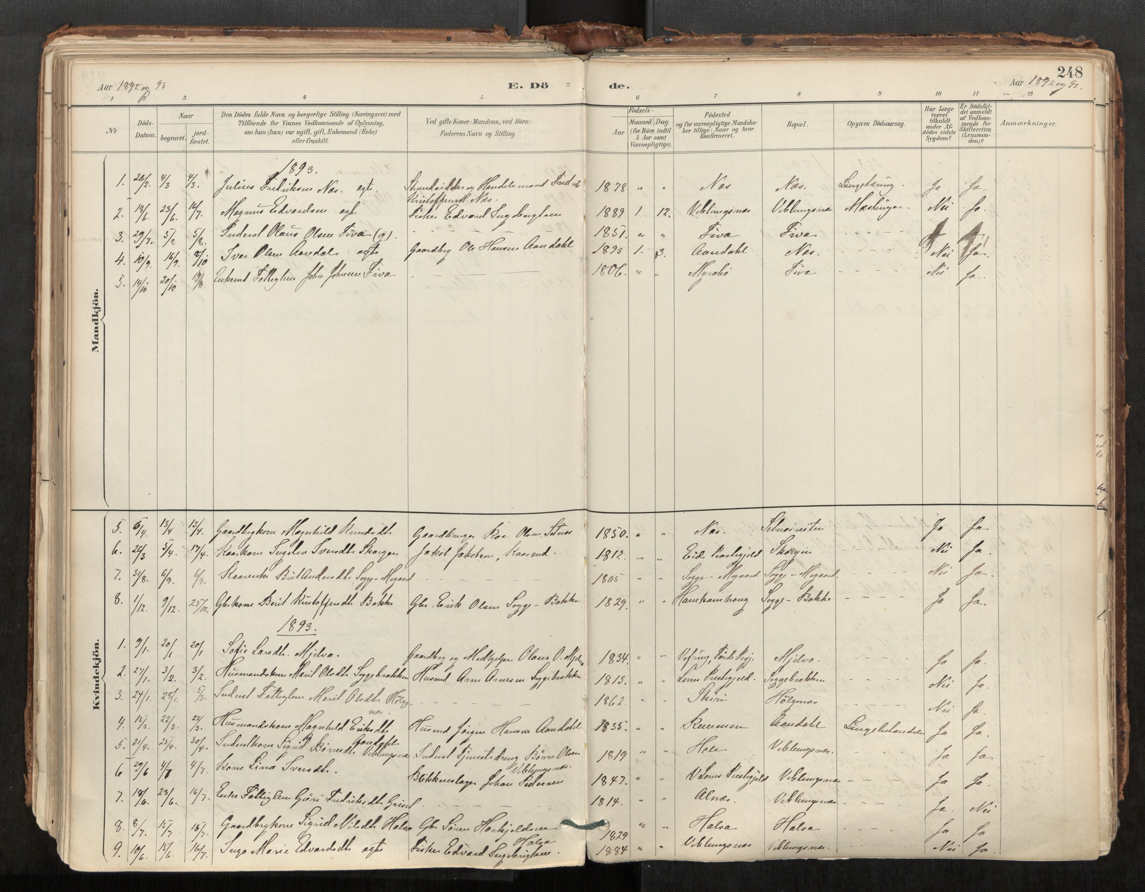Ministerialprotokoller, klokkerbøker og fødselsregistre - Møre og Romsdal, AV/SAT-A-1454/544/L0585: Ministerialbok nr. 544A06, 1887-1924, s. 248