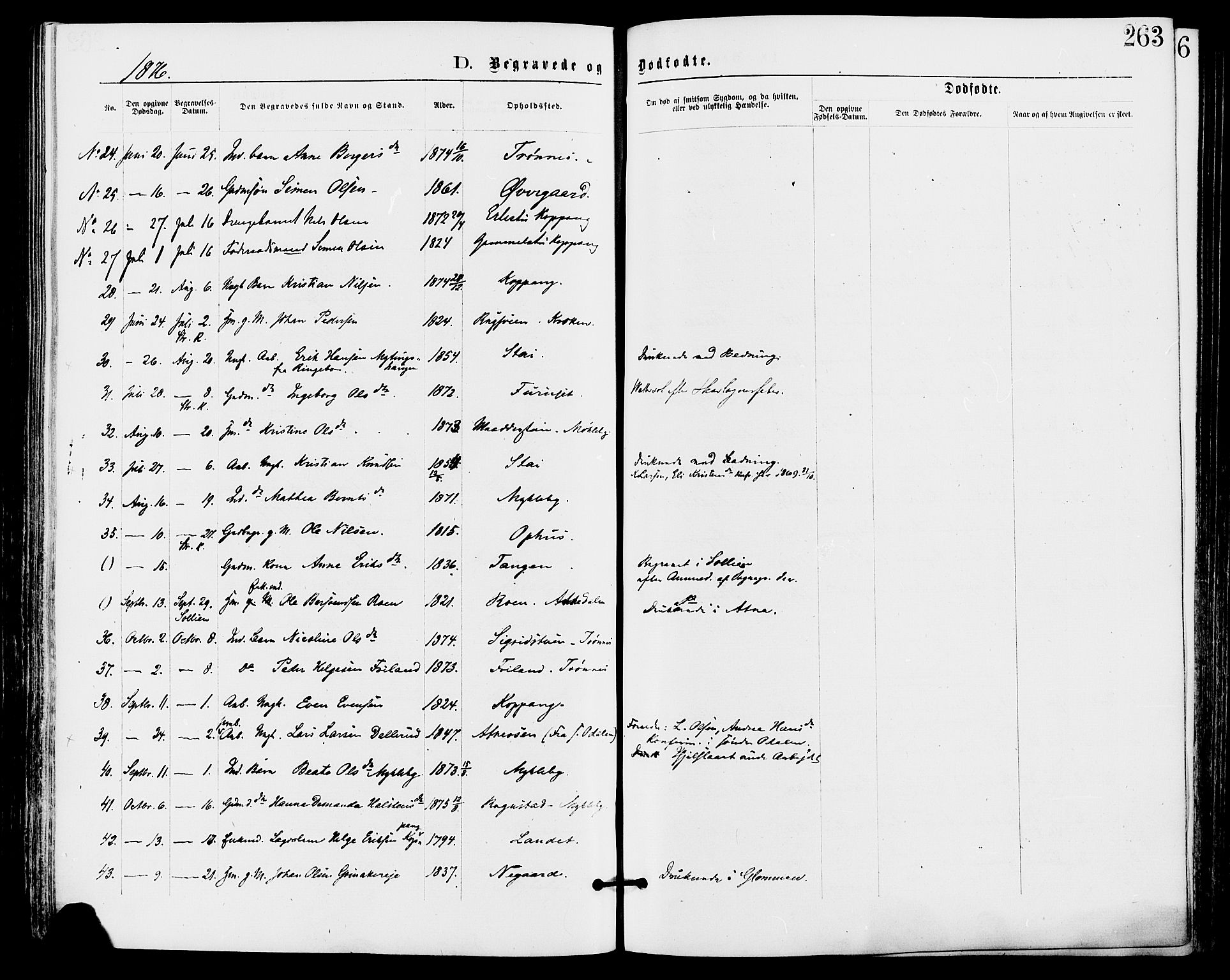 Stor-Elvdal prestekontor, AV/SAH-PREST-052/H/Ha/Haa/L0001: Ministerialbok nr. 1, 1871-1882, s. 263