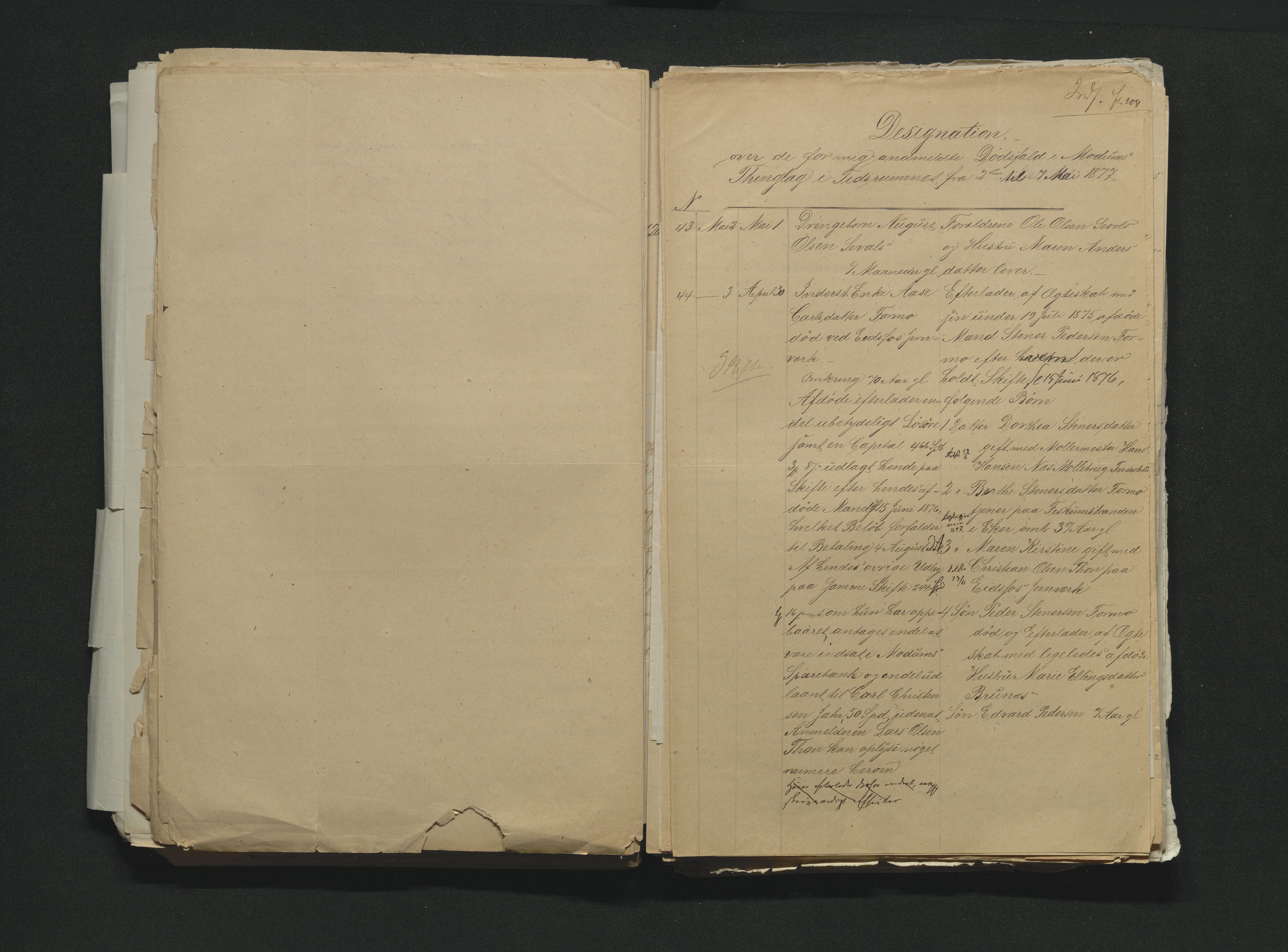 Eiker, Modum og Sigdal sorenskriveri, AV/SAKO-A-123/H/Ha/Hab/L0014: Dødsfallsmeldinger, 1874-1877, s. 648