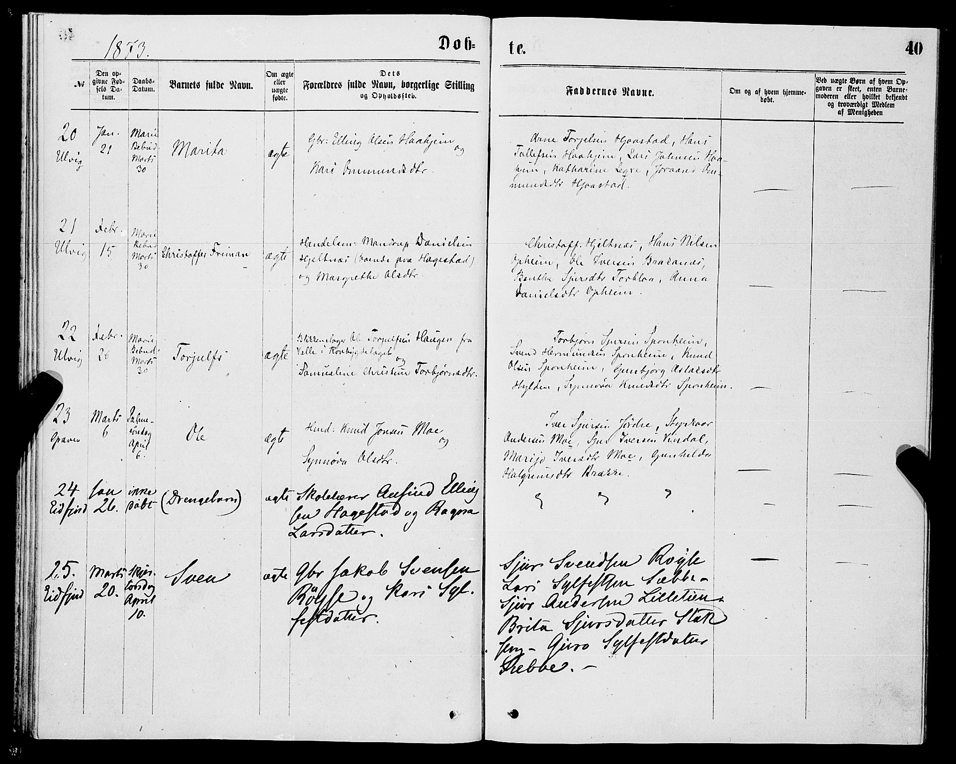 Ulvik sokneprestembete, AV/SAB-A-78801/H/Haa: Ministerialbok nr. A 16, 1870-1878, s. 40