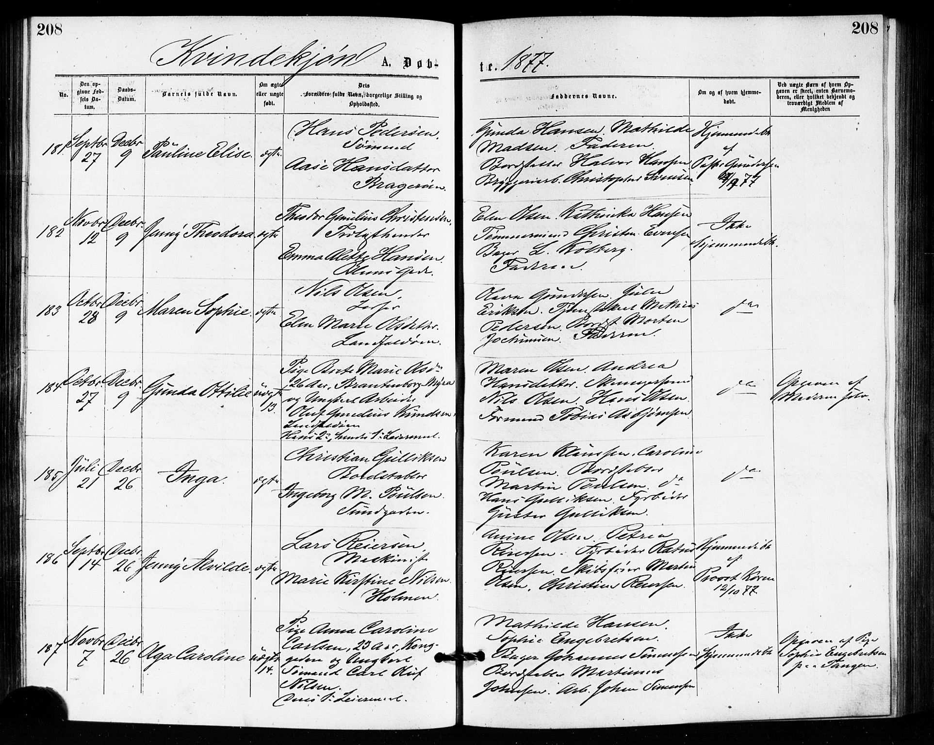 Bragernes kirkebøker, AV/SAKO-A-6/F/Fb/L0005: Ministerialbok nr. II 5, 1875-1877, s. 208