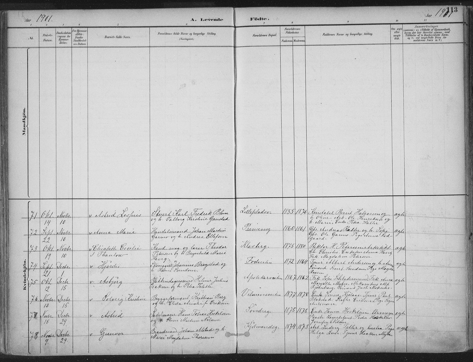 Ministerialprotokoller, klokkerbøker og fødselsregistre - Sør-Trøndelag, SAT/A-1456/601/L0062: Ministerialbok nr. 601A30, 1891-1911, s. 113