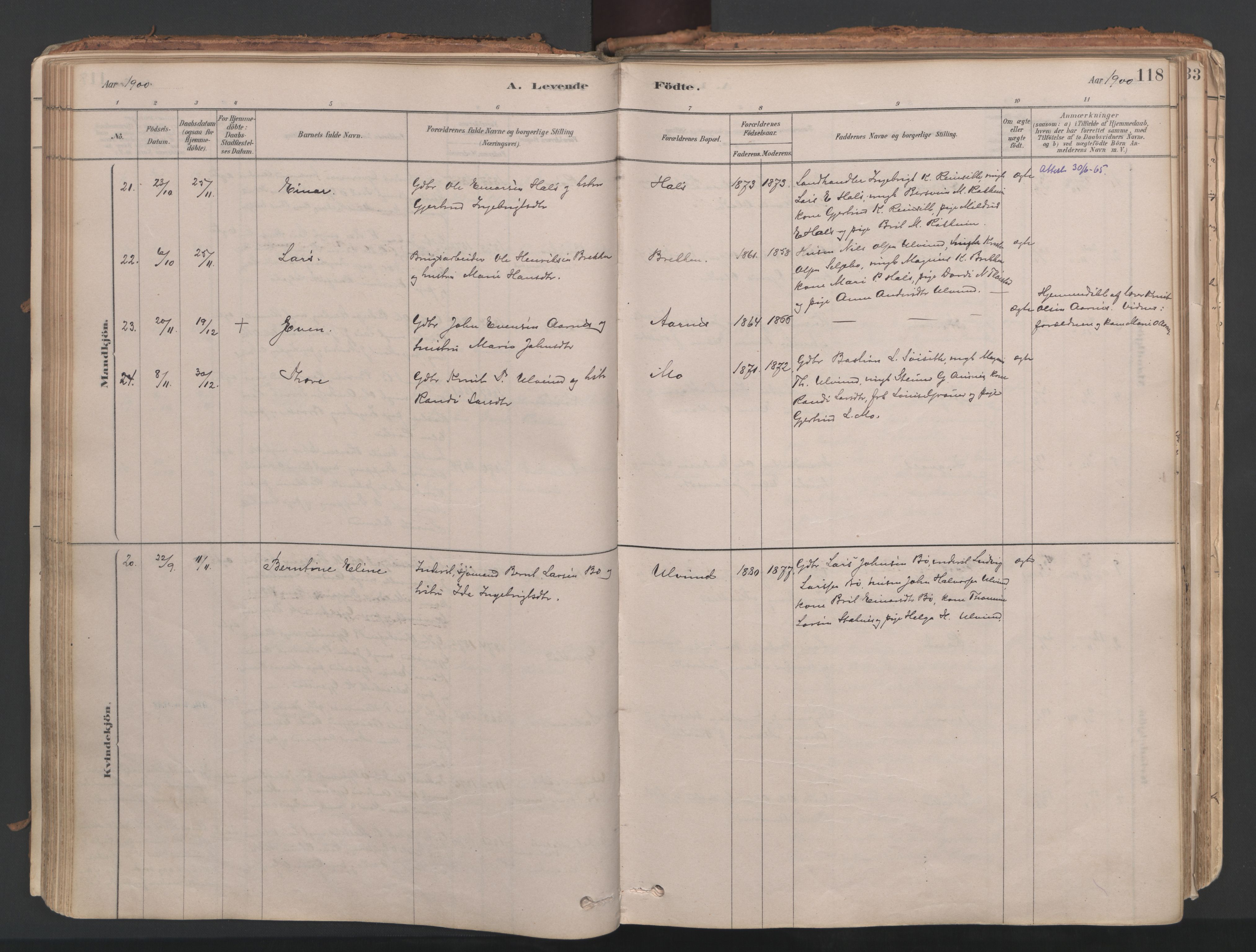 Ministerialprotokoller, klokkerbøker og fødselsregistre - Møre og Romsdal, AV/SAT-A-1454/592/L1029: Ministerialbok nr. 592A07, 1879-1902, s. 118