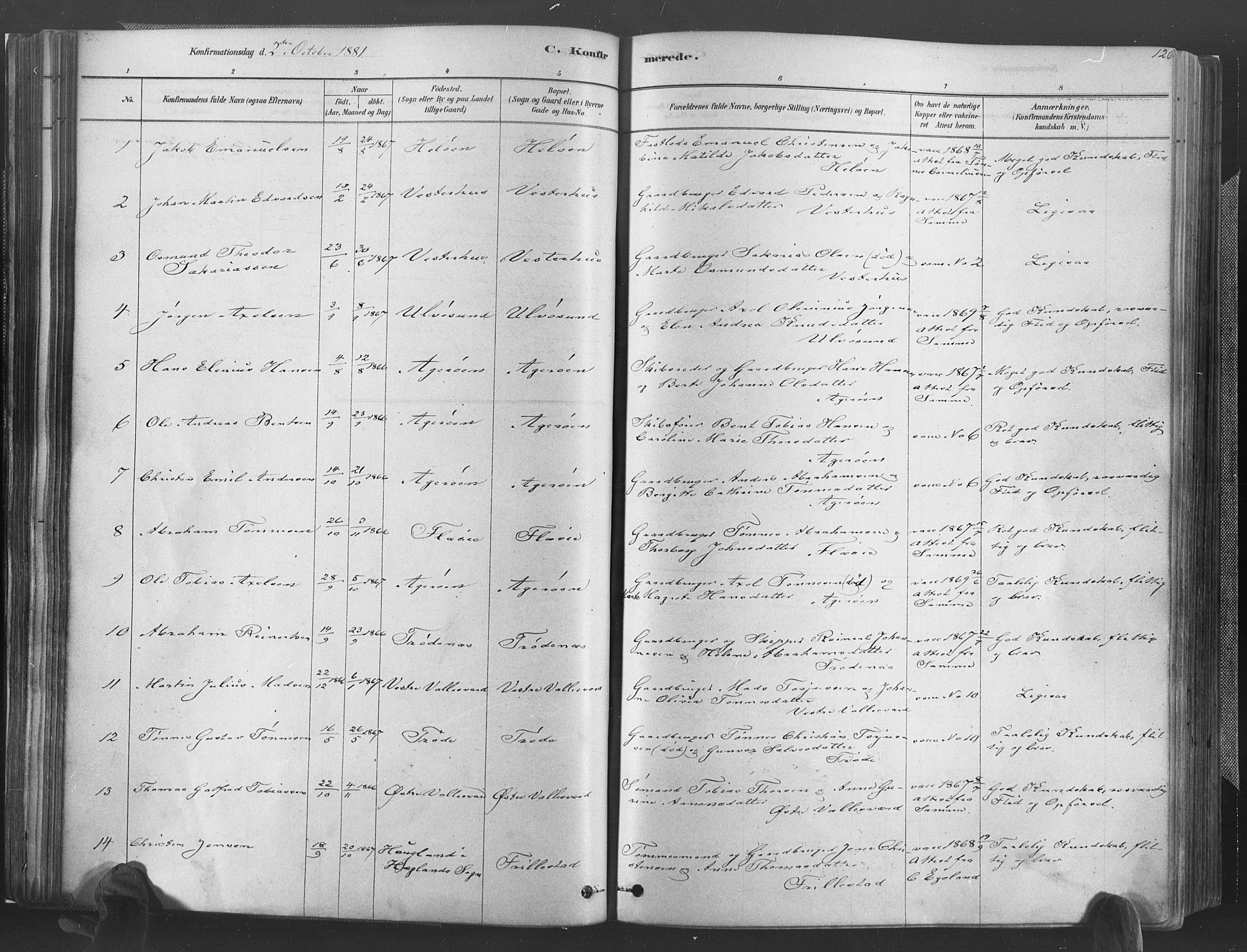 Høvåg sokneprestkontor, SAK/1111-0025/F/Fa/L0005: Ministerialbok nr. A 5, 1878-1893, s. 126