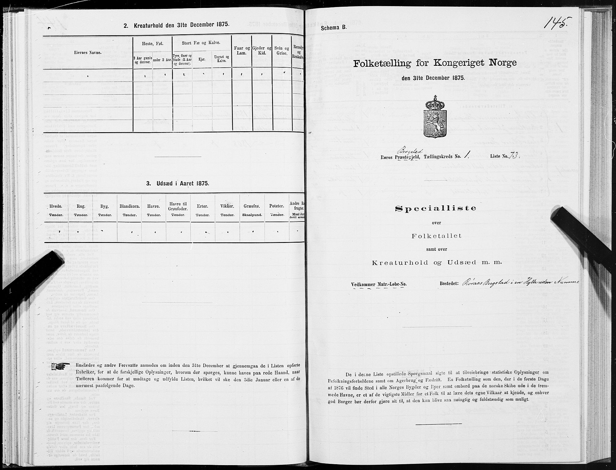 SAT, Folketelling 1875 for 1640P Røros prestegjeld, 1875, s. 1145