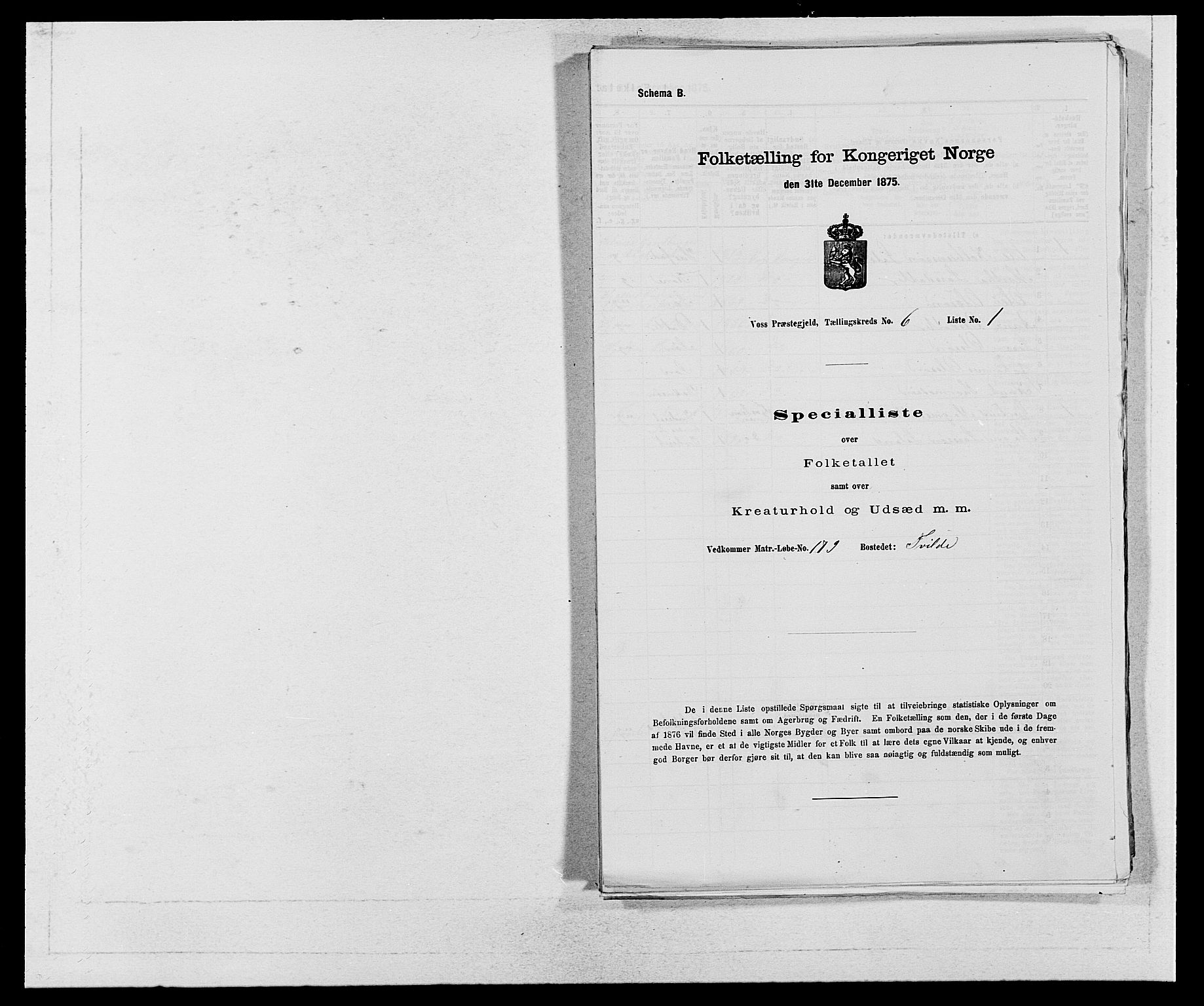 SAB, Folketelling 1875 for 1235P Voss prestegjeld, 1875, s. 701