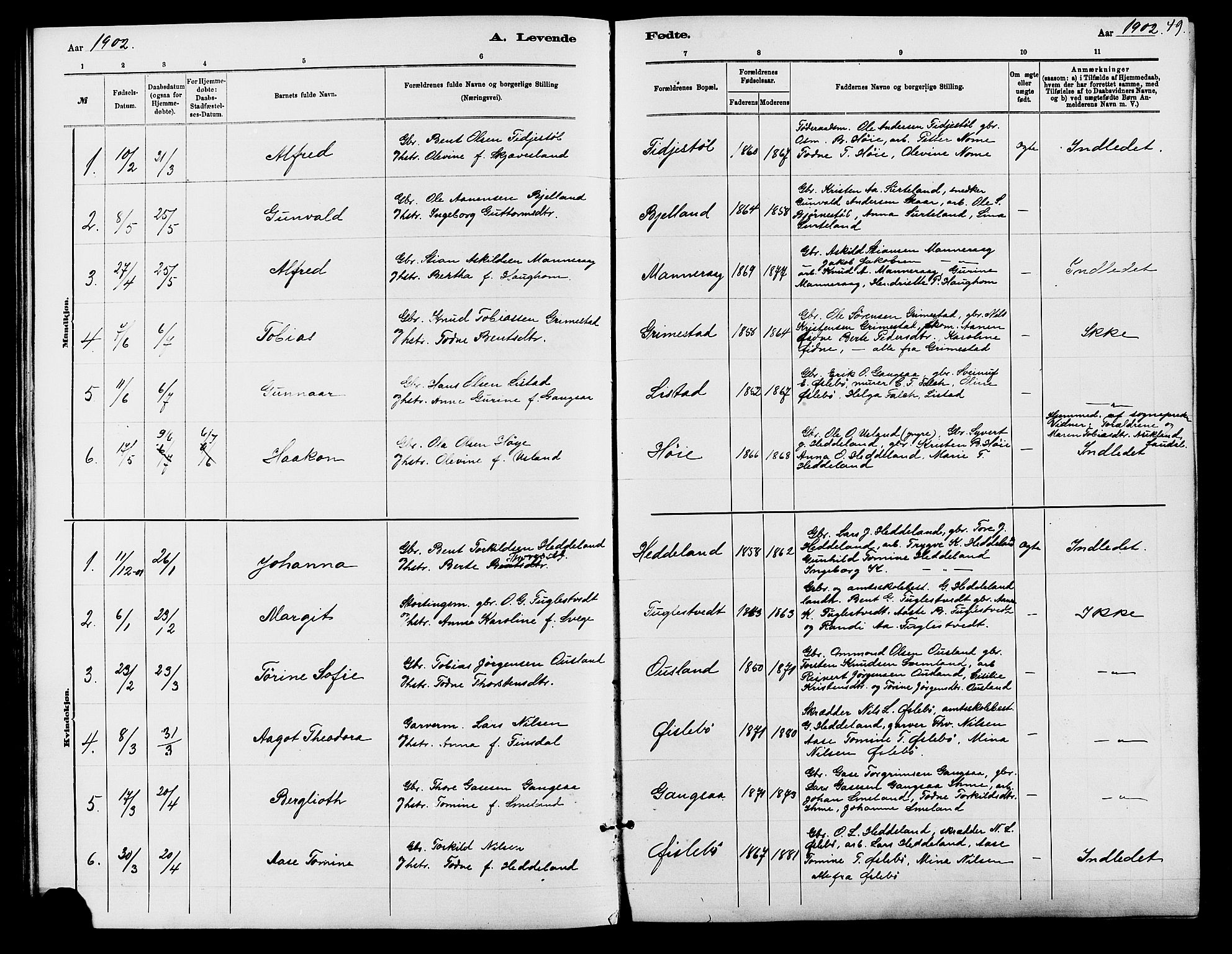 Holum sokneprestkontor, AV/SAK-1111-0022/F/Fb/Fbc/L0003: Klokkerbok nr. B 3, 1882-1908, s. 49