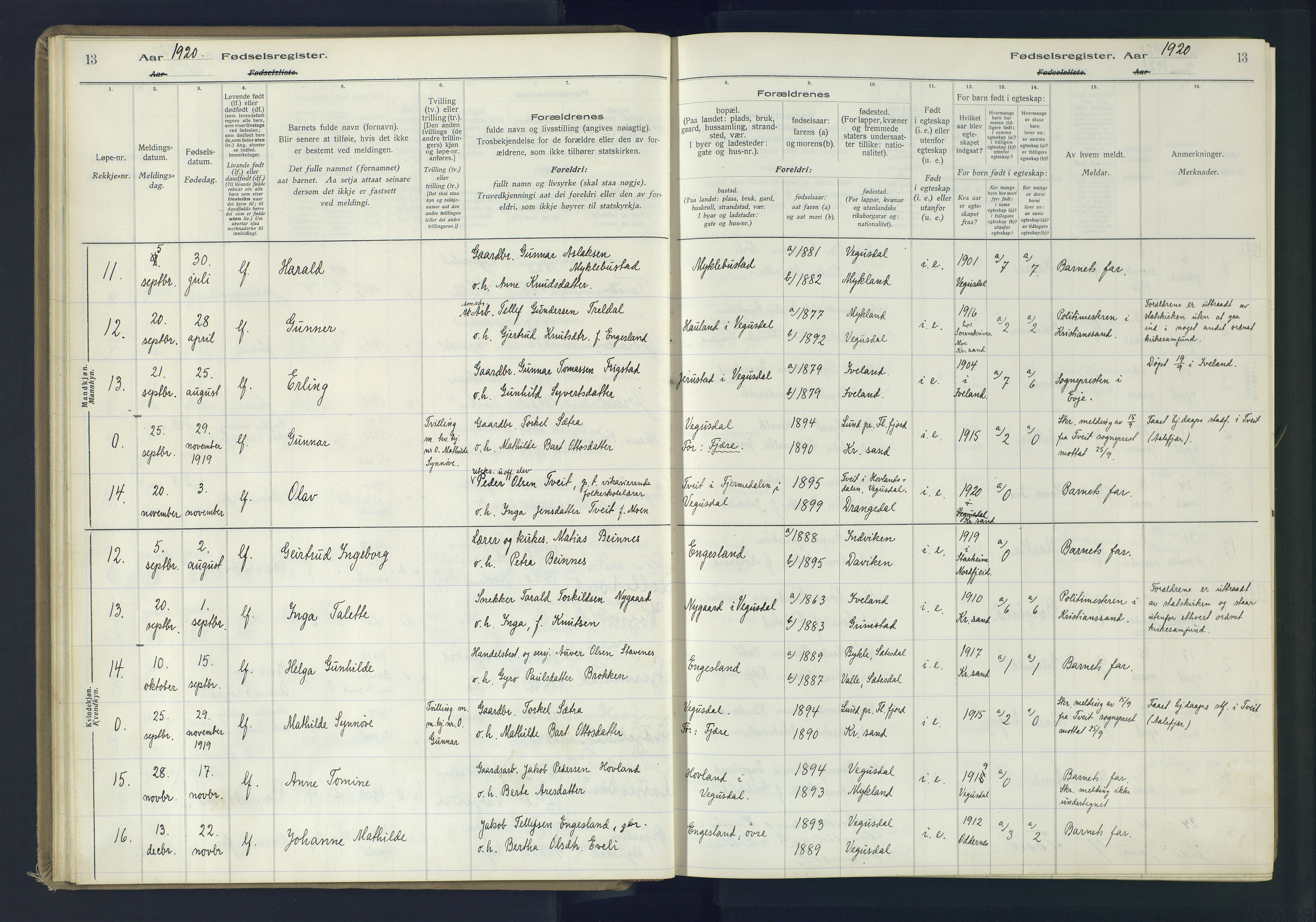 Herefoss sokneprestkontor, AV/SAK-1111-0019/J/Ja/L0002: Fødselsregister nr. II.6.11, 1916-1982, s. 13