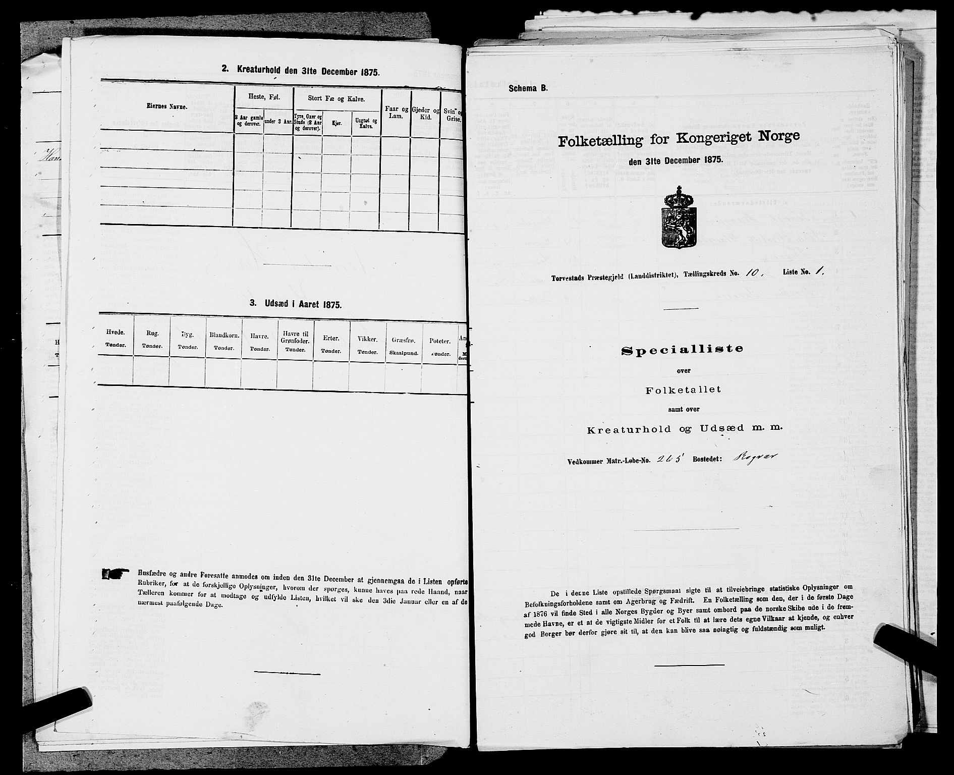 SAST, Folketelling 1875 for 1152L Torvastad prestegjeld, Torvastad sokn, Skåre sokn og Utsira sokn, 1875, s. 1247