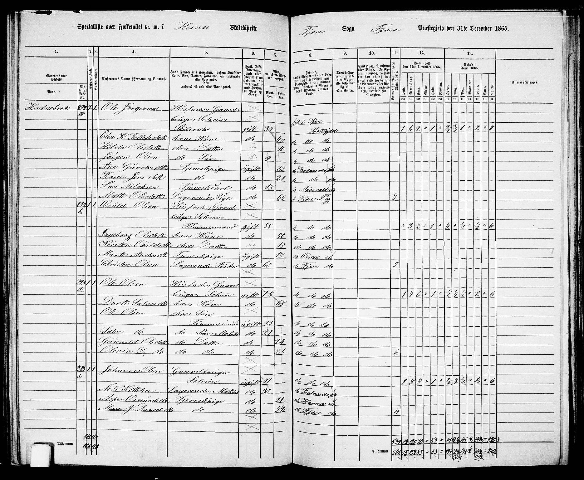 RA, Folketelling 1865 for 0923L Fjære prestegjeld, Fjære sokn, 1865, s. 104