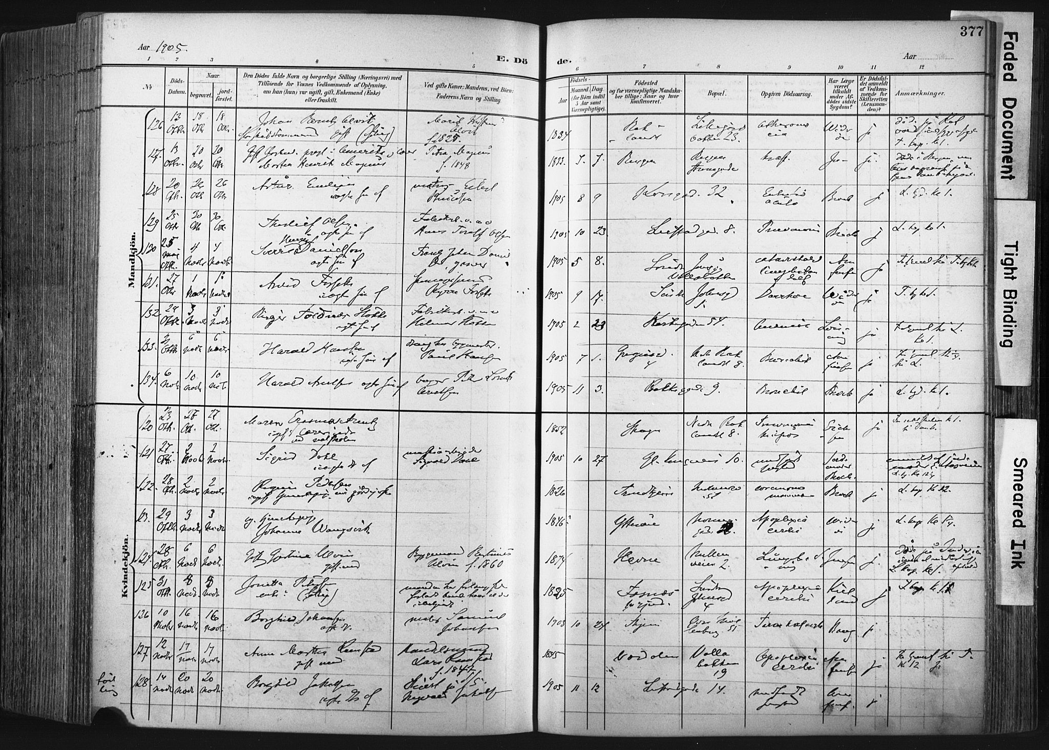 Ministerialprotokoller, klokkerbøker og fødselsregistre - Sør-Trøndelag, SAT/A-1456/604/L0201: Ministerialbok nr. 604A21, 1901-1911, s. 377