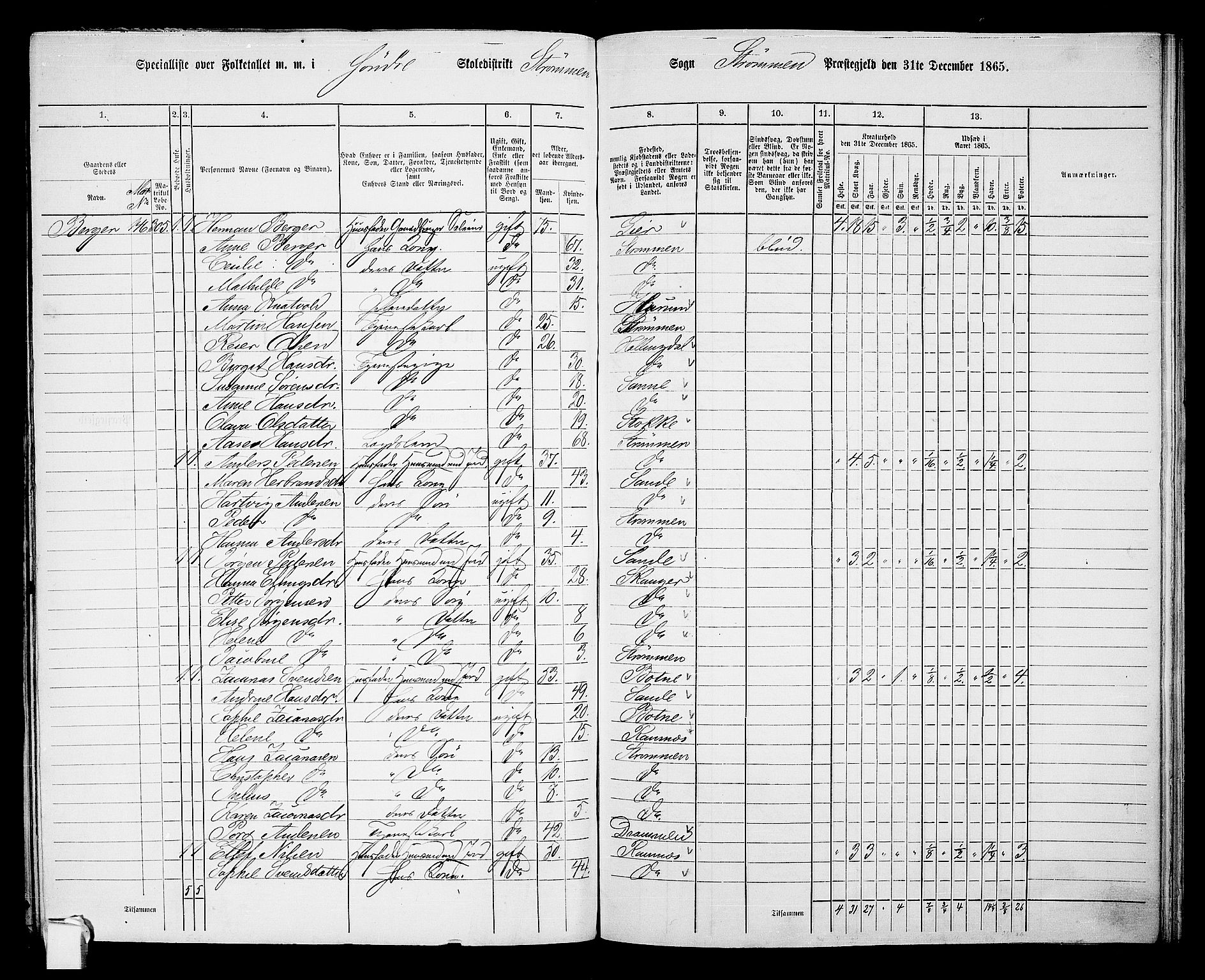 RA, Folketelling 1865 for 0711P Strømm prestegjeld, 1865, s. 5