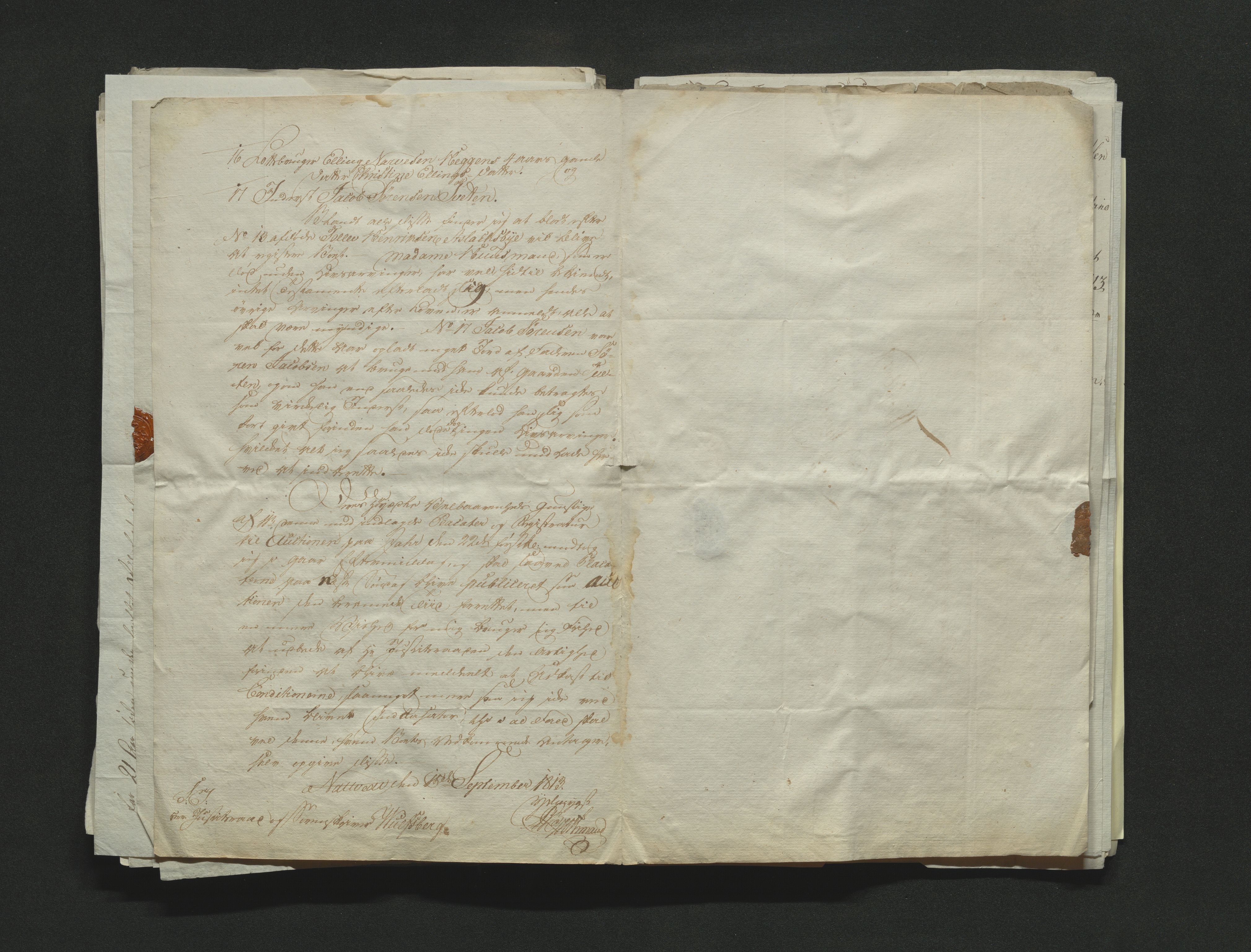 Eiker, Modum og Sigdal sorenskriveri, AV/SAKO-A-123/H/Ha/Hab/L0001: Dødsfallsmeldinger, 1812-1822, s. 91