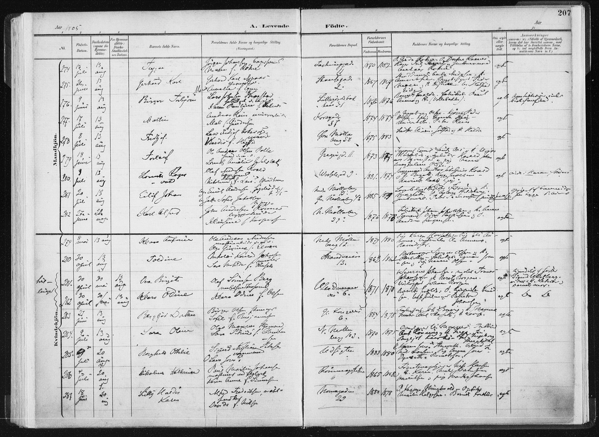 Ministerialprotokoller, klokkerbøker og fødselsregistre - Sør-Trøndelag, AV/SAT-A-1456/604/L0199: Ministerialbok nr. 604A20I, 1901-1906, s. 207