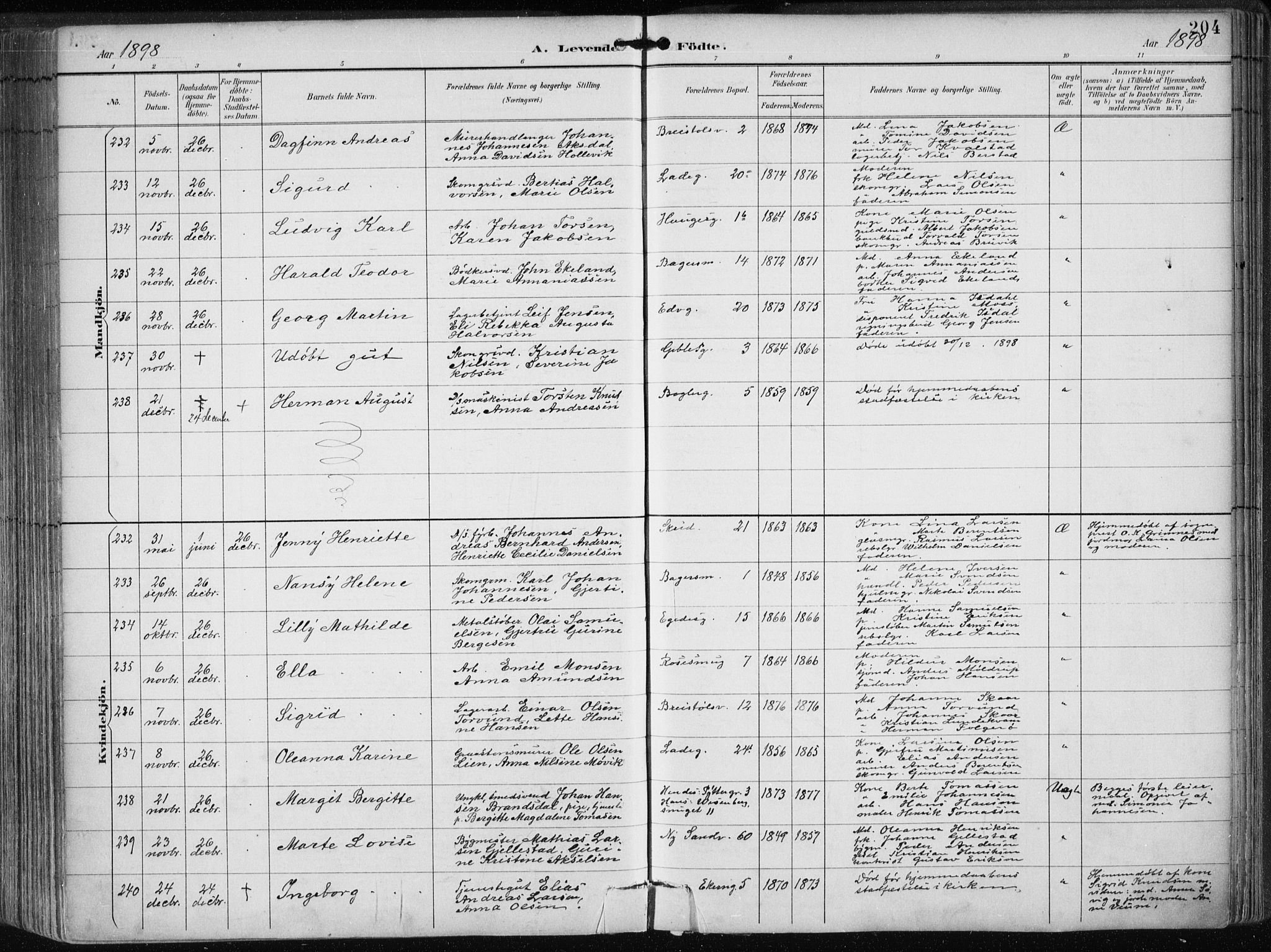 Sandviken Sokneprestembete, AV/SAB-A-77601/H/Ha/L0005: Ministerialbok nr. B 2, 1891-1901, s. 204