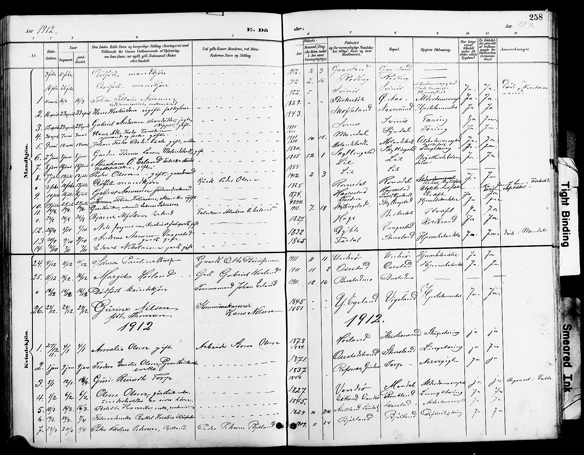 Sør-Audnedal sokneprestkontor, AV/SAK-1111-0039/F/Fb/Fbb/L0006: Klokkerbok nr. B 6, 1893-1915, s. 258