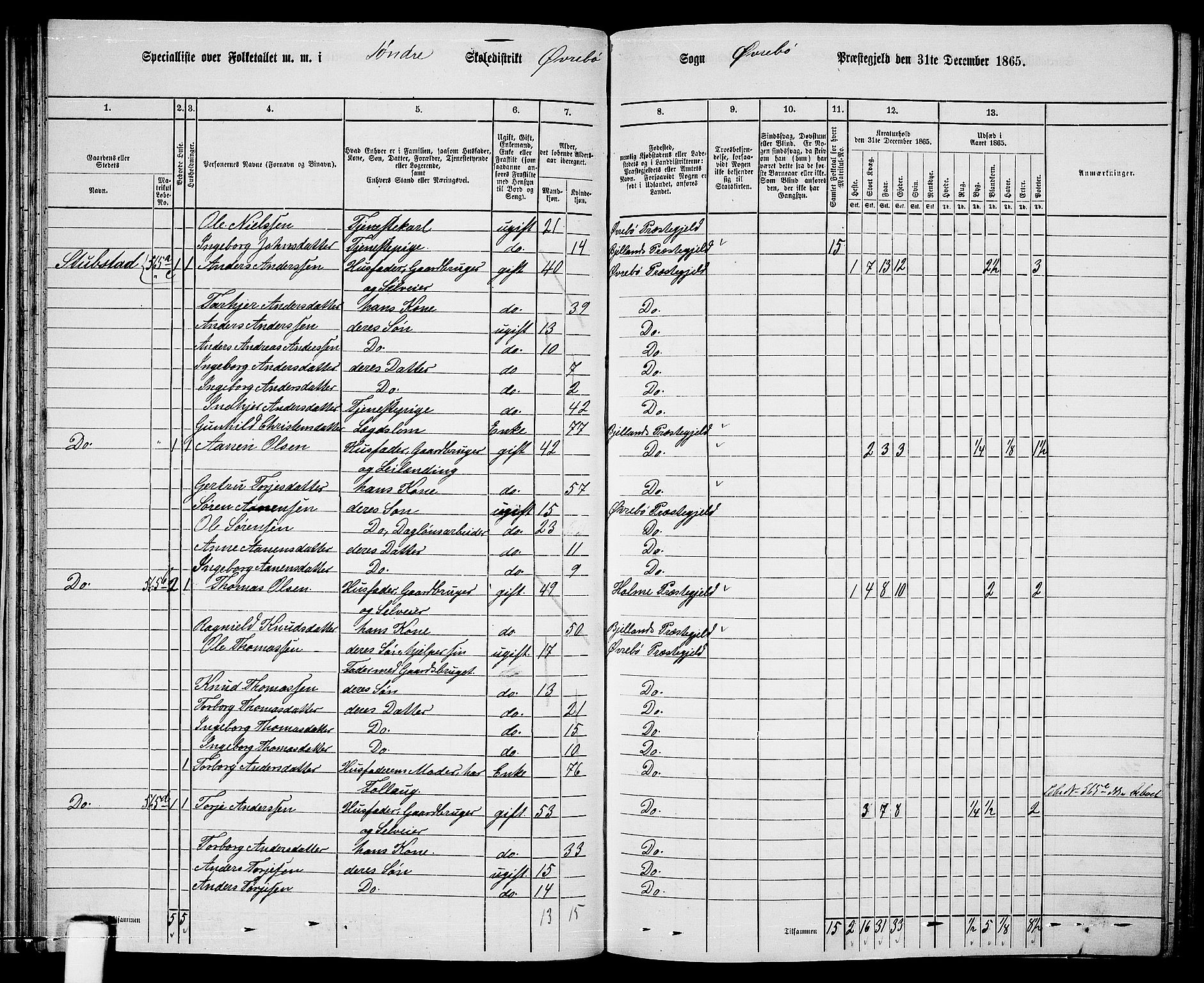 RA, Folketelling 1865 for 1016P Øvrebø prestegjeld, 1865, s. 45