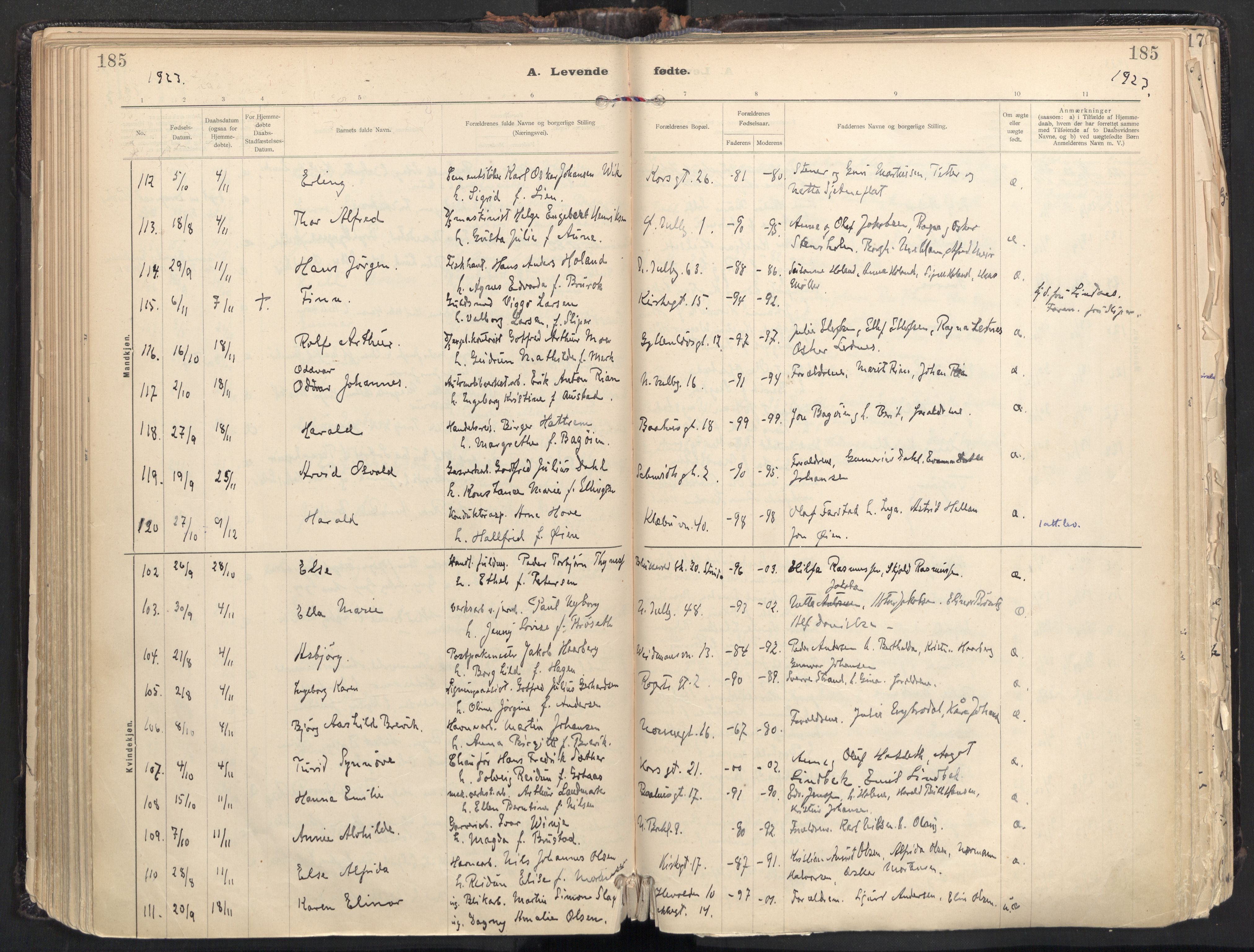 Ministerialprotokoller, klokkerbøker og fødselsregistre - Sør-Trøndelag, AV/SAT-A-1456/604/L0205: Ministerialbok nr. 604A25, 1917-1932, s. 185