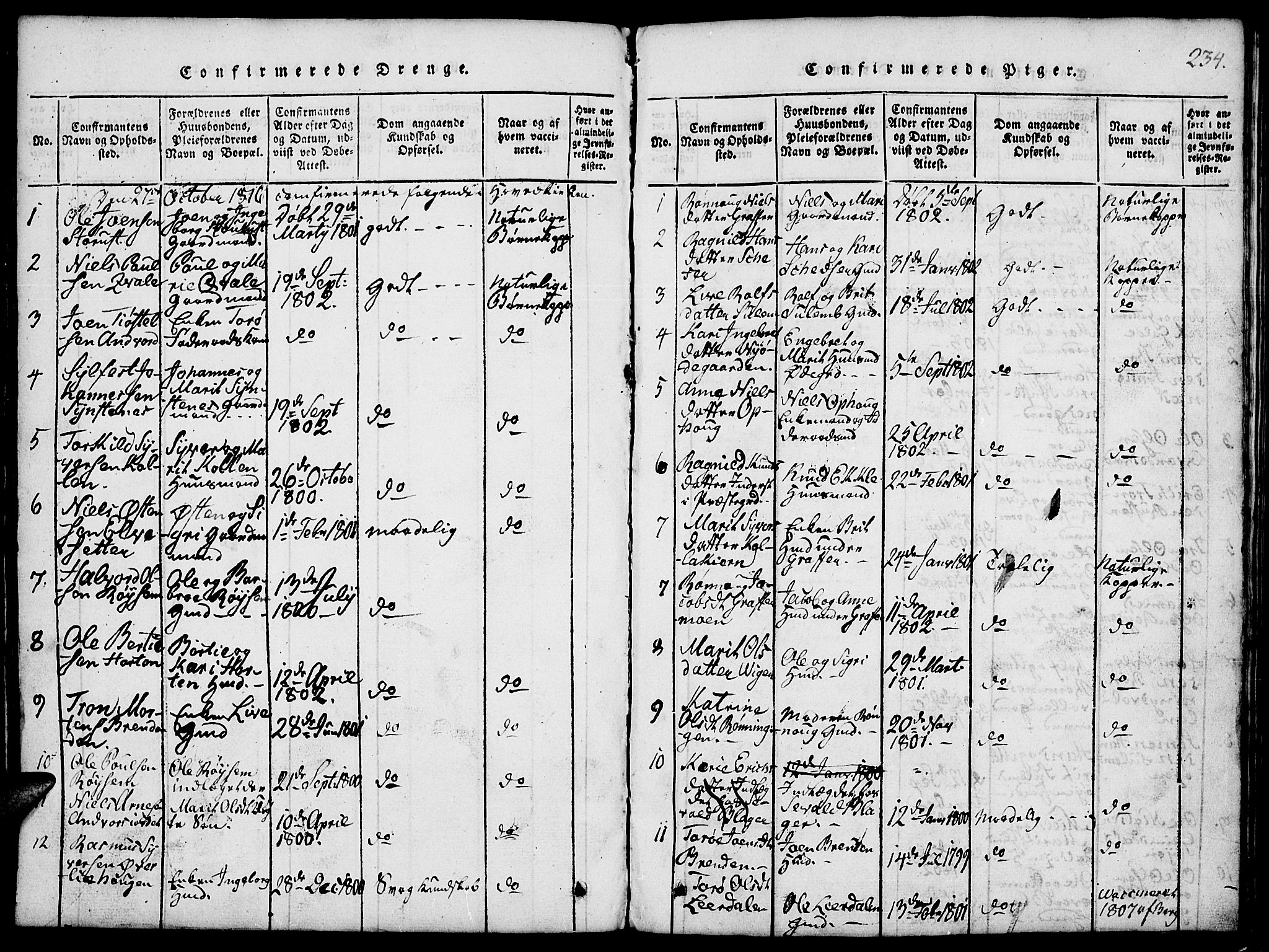 Lom prestekontor, SAH/PREST-070/L/L0001: Klokkerbok nr. 1, 1815-1836, s. 234