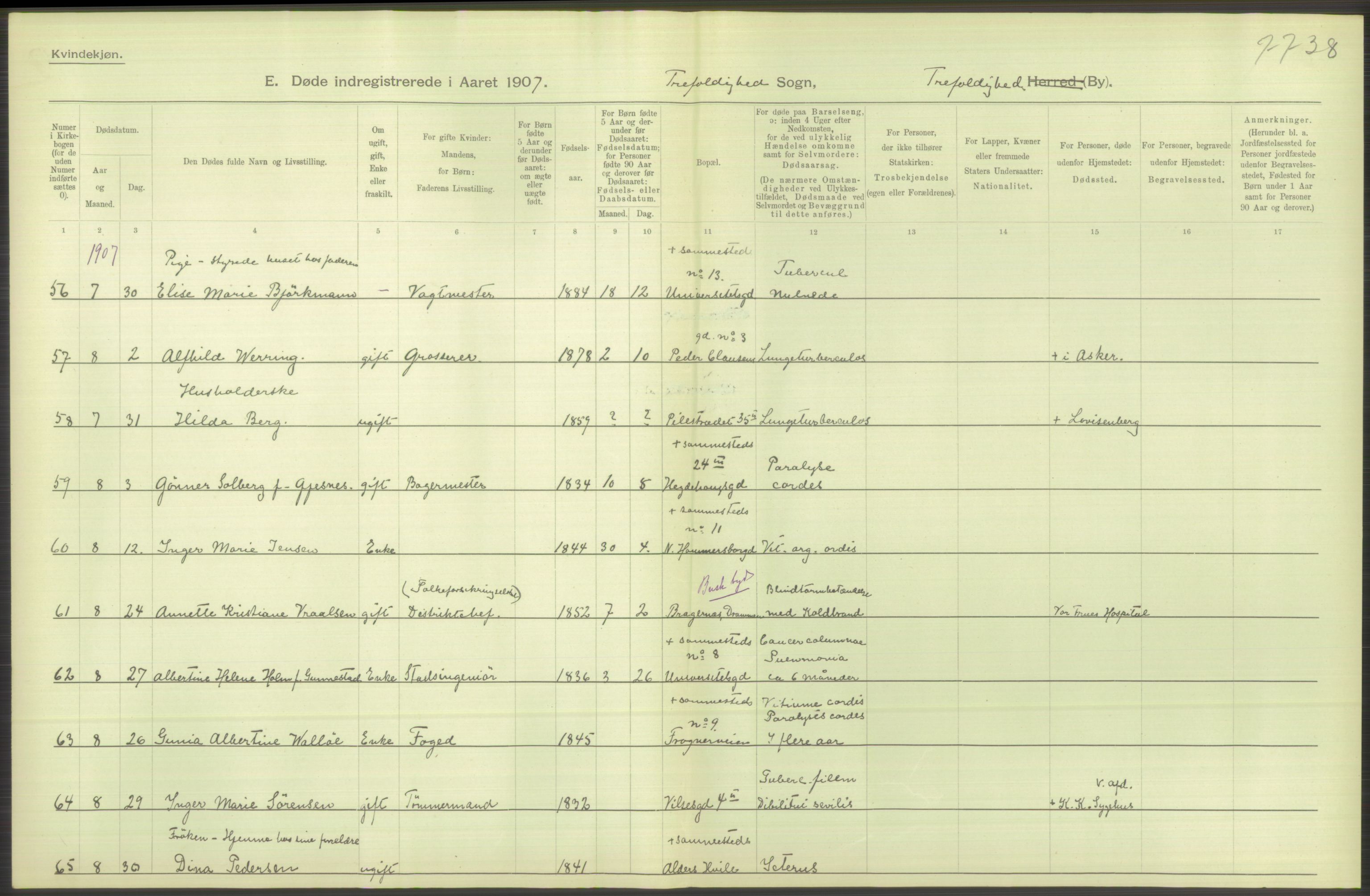 Statistisk sentralbyrå, Sosiodemografiske emner, Befolkning, AV/RA-S-2228/D/Df/Dfa/Dfae/L0009: Kristiania: Døde, 1907, s. 182