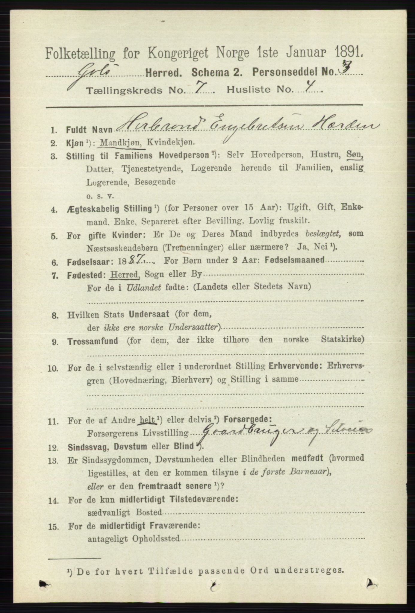 RA, Folketelling 1891 for 0617 Gol og Hemsedal herred, 1891, s. 2817