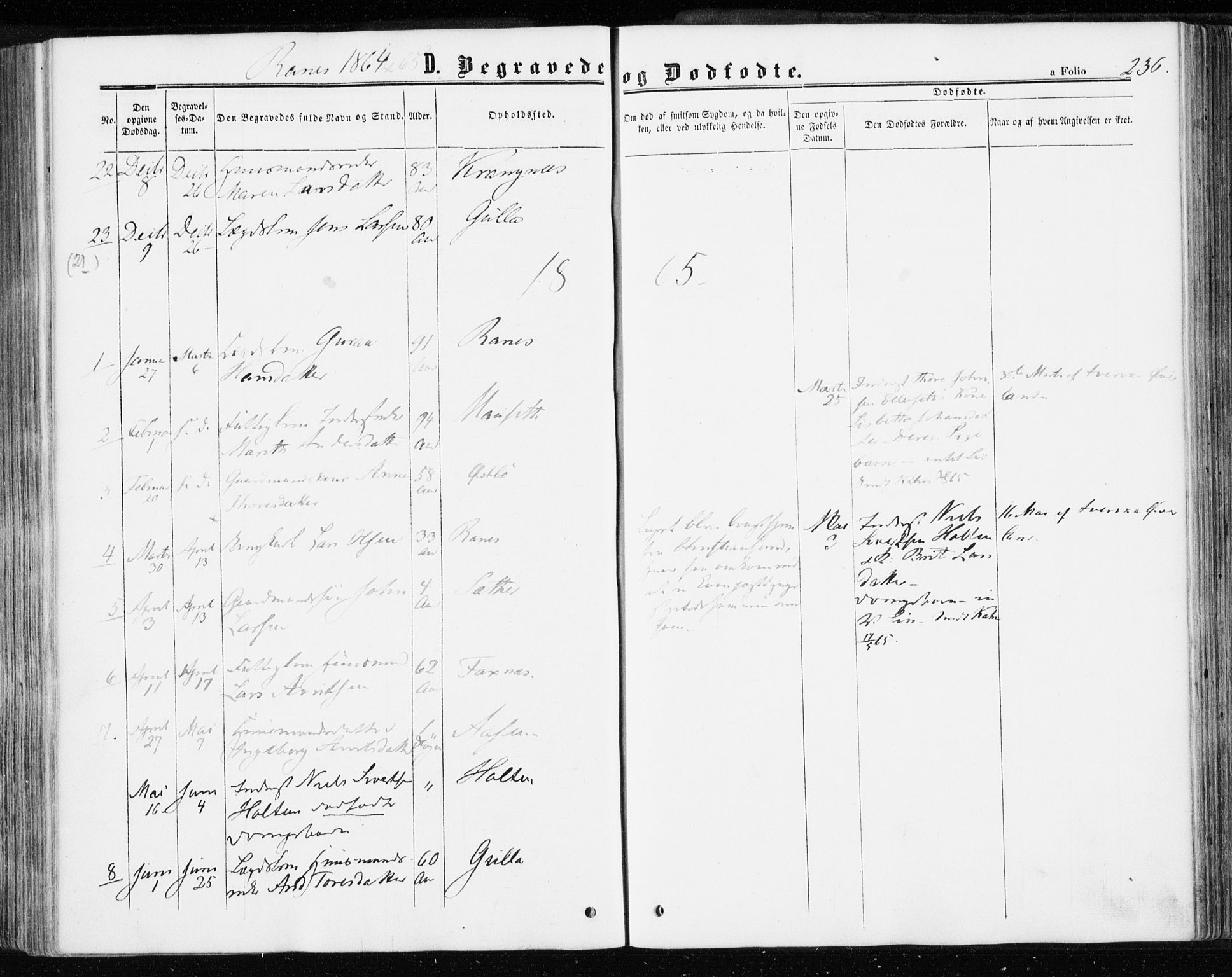 Ministerialprotokoller, klokkerbøker og fødselsregistre - Møre og Romsdal, AV/SAT-A-1454/595/L1045: Ministerialbok nr. 595A07, 1863-1873, s. 236