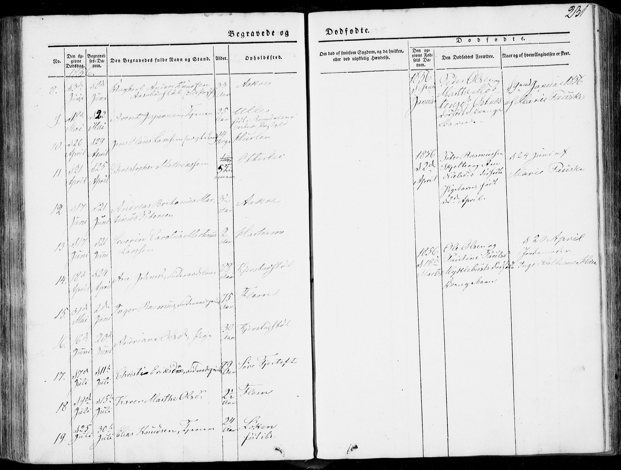 Ministerialprotokoller, klokkerbøker og fødselsregistre - Møre og Romsdal, AV/SAT-A-1454/536/L0497: Ministerialbok nr. 536A06, 1845-1865, s. 231