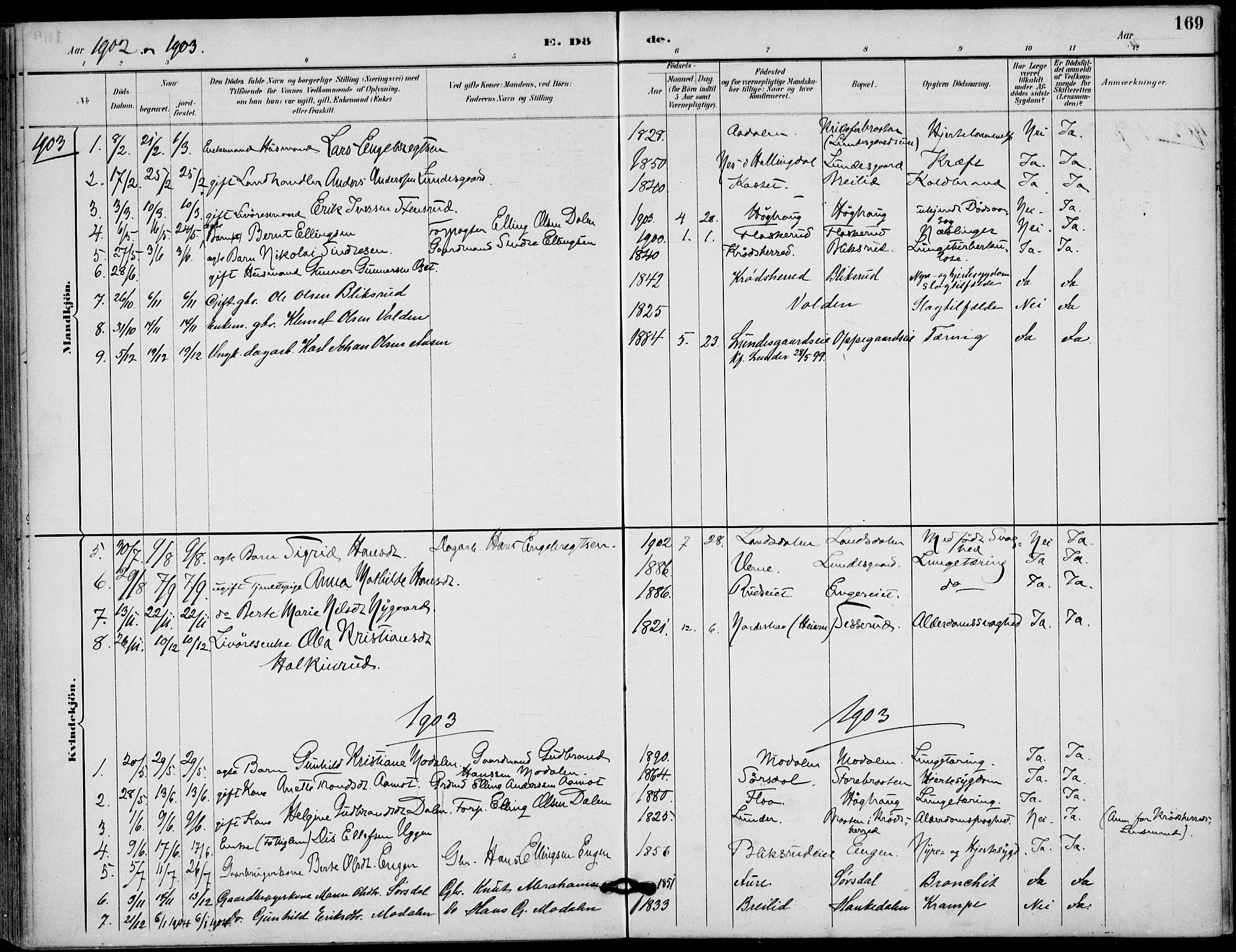 Lunder kirkebøker, AV/SAKO-A-629/F/Fa/L0001: Ministerialbok nr. I 1, 1885-1912, s. 169
