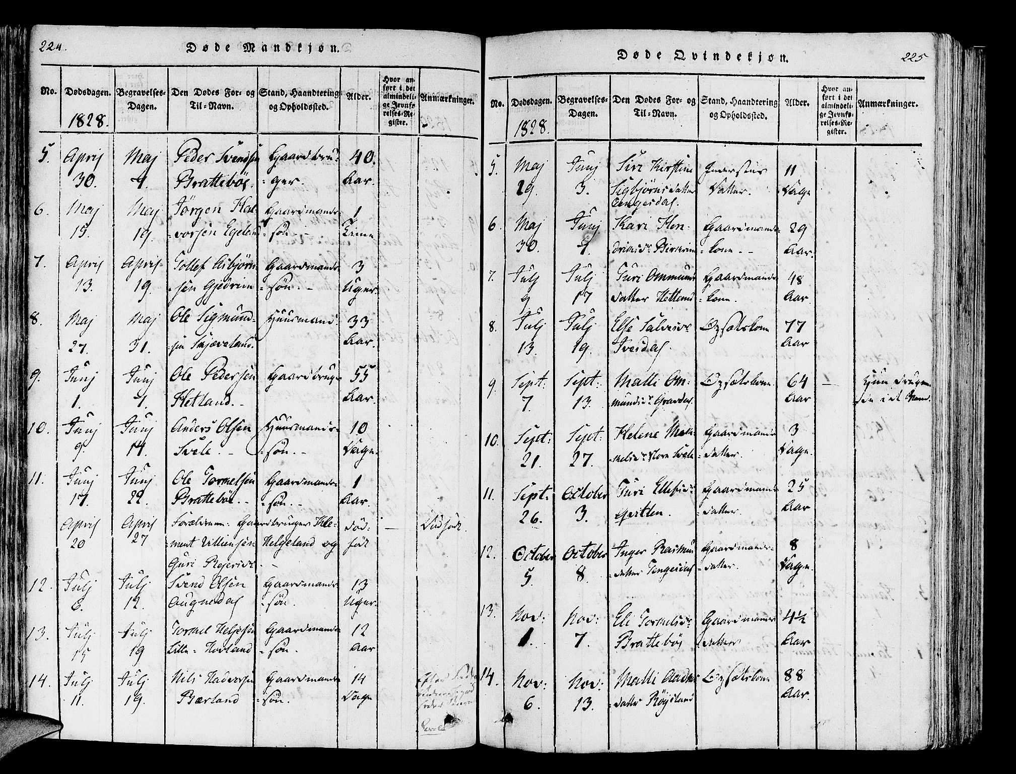 Helleland sokneprestkontor, SAST/A-101810: Ministerialbok nr. A 5, 1815-1834, s. 224-225
