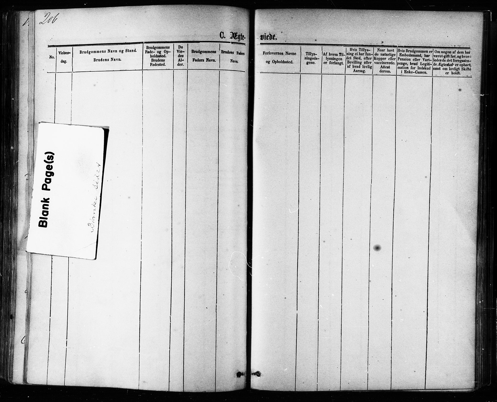 Ministerialprotokoller, klokkerbøker og fødselsregistre - Møre og Romsdal, AV/SAT-A-1454/581/L0938: Ministerialbok nr. 581A06, 1873-1879, s. 206